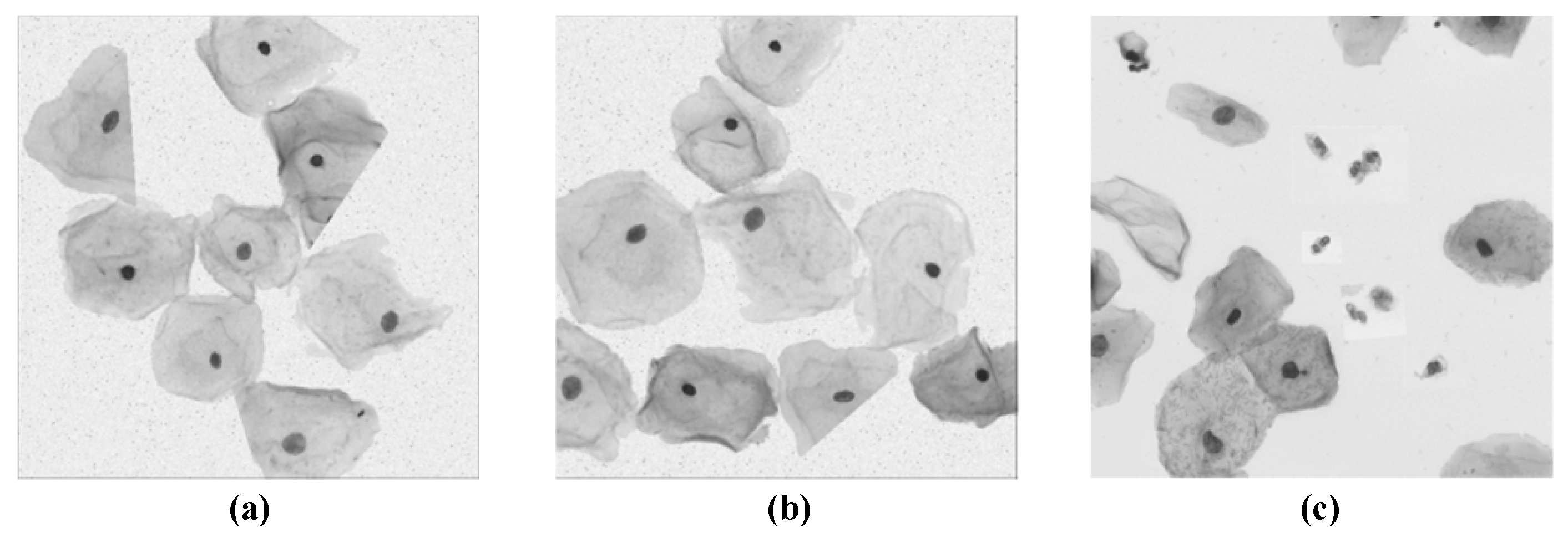 Bioengineering 10 00047 g001