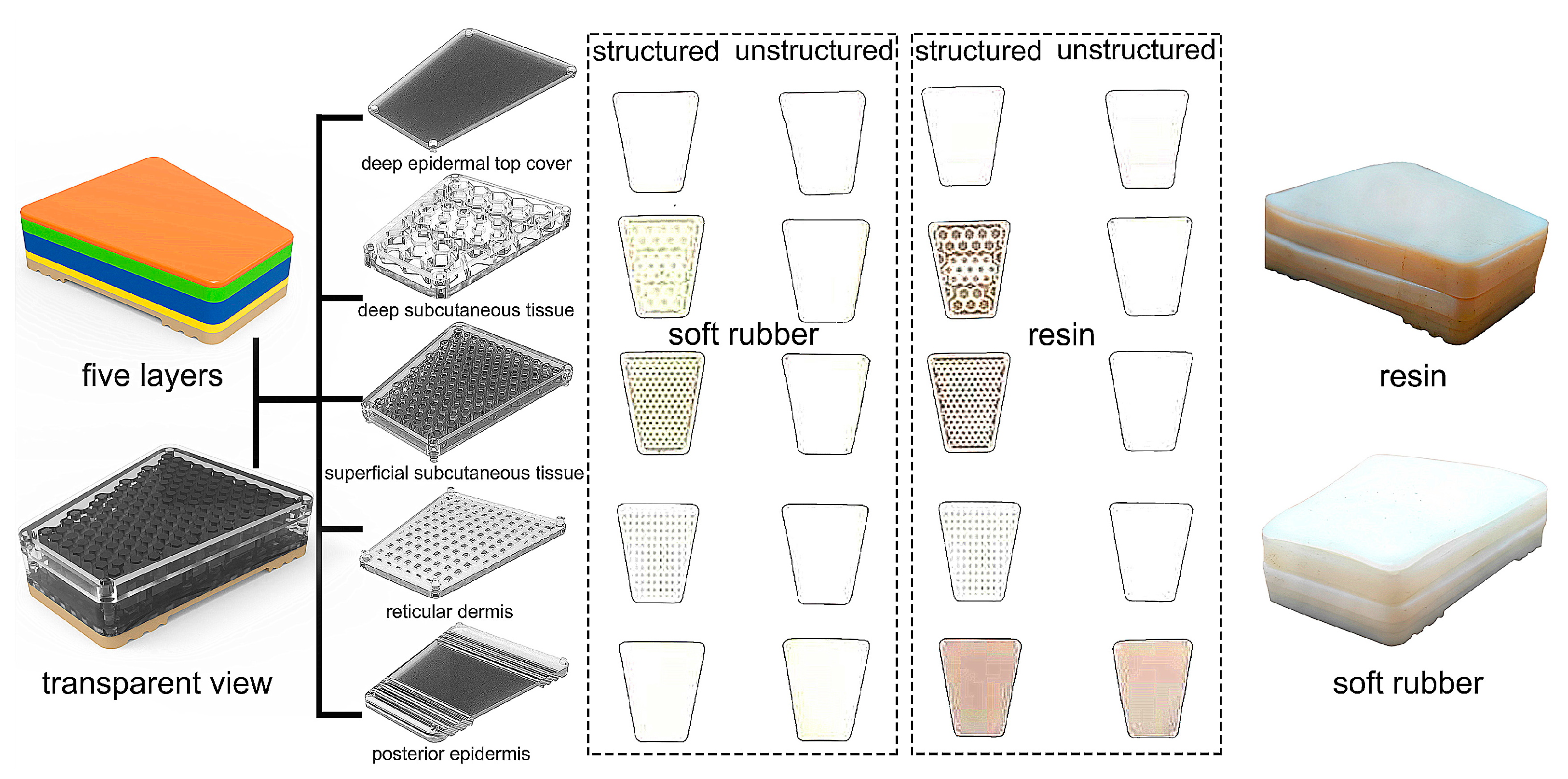 Bioengineering 10 00049 g002