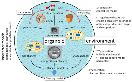 Bioengineering 10 00050 g005 550