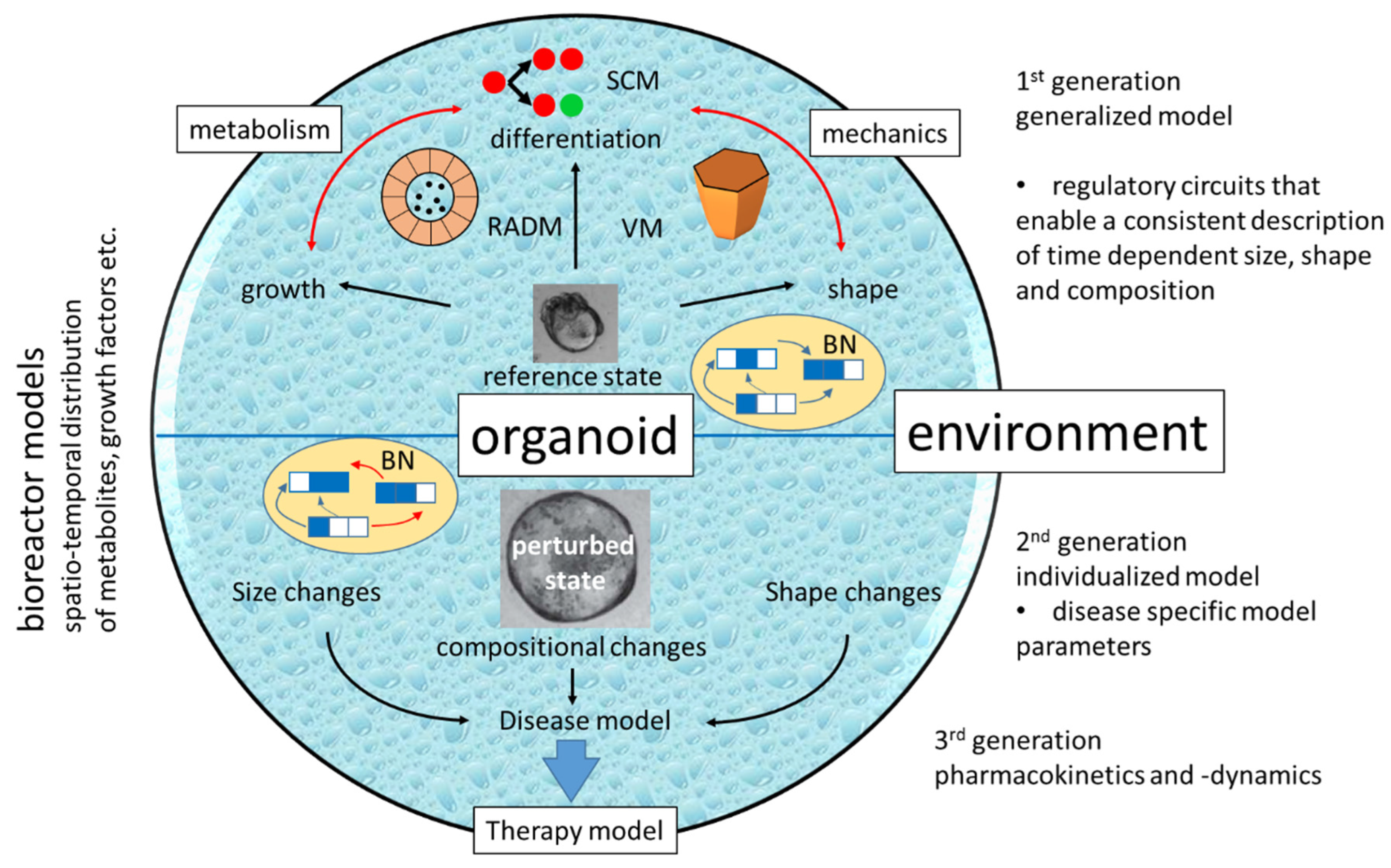 Bioengineering 10 00050 g005