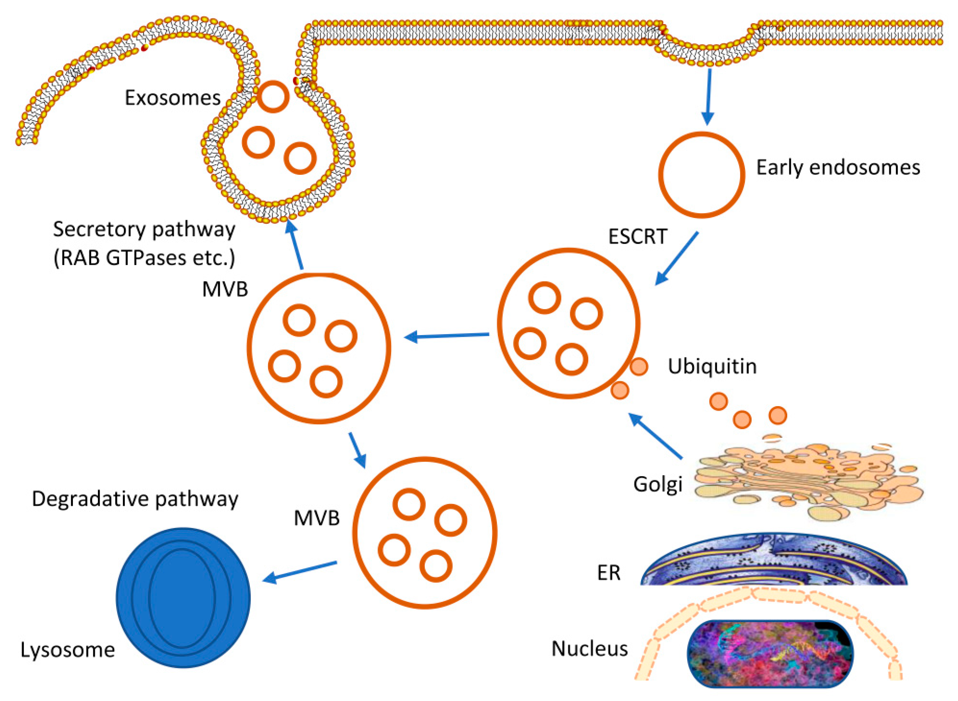 Bioengineering 10 00051 g001 Bioengineering 10 00051 g001