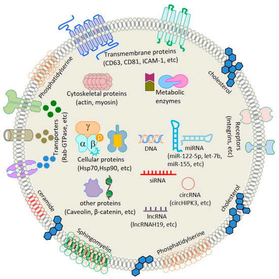 Applications of Extracellular Vesicles in Nervous System