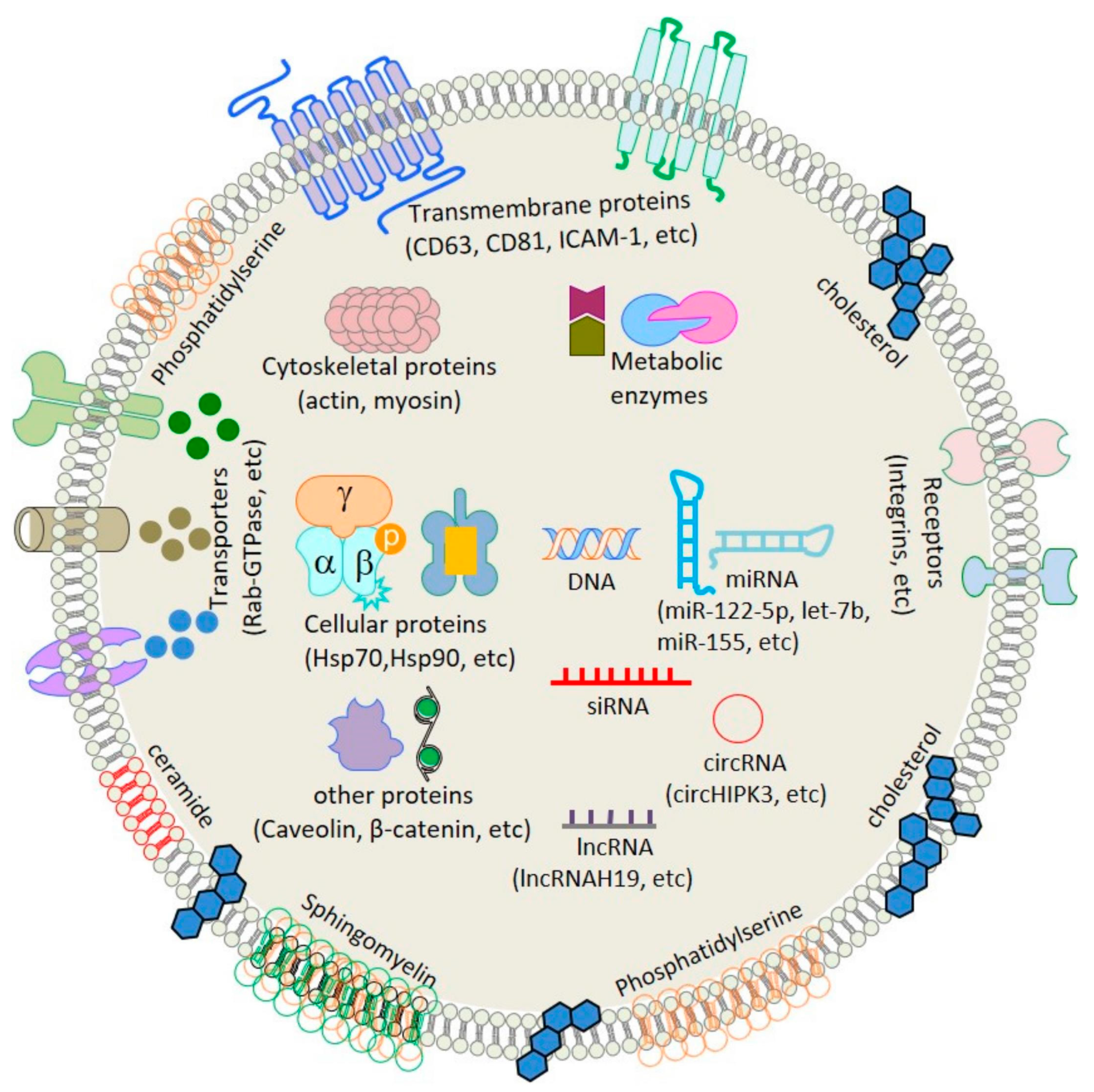 Bioengineering 10 00051 g002 Bioengineering 10 00051 g002