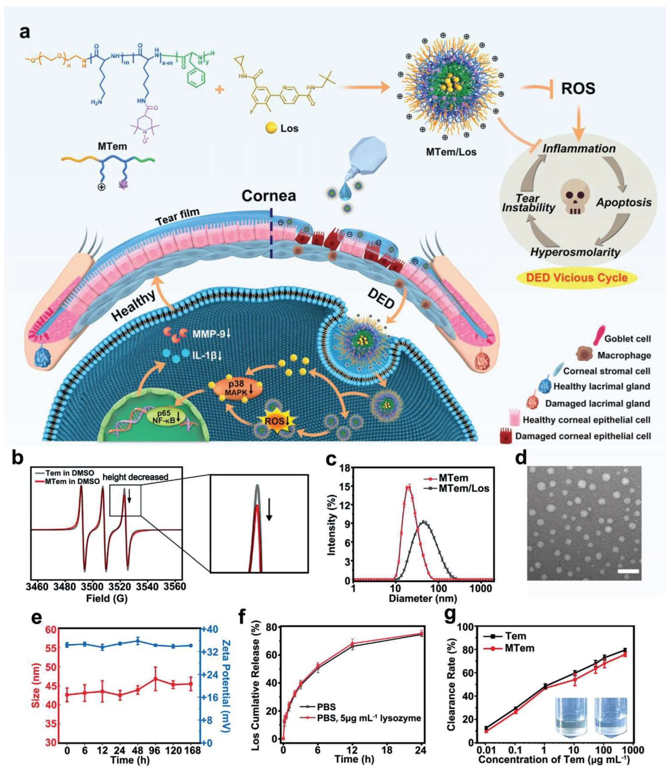 Bioengineering 10 00053 g005 Bioengineering 10 00053 g005