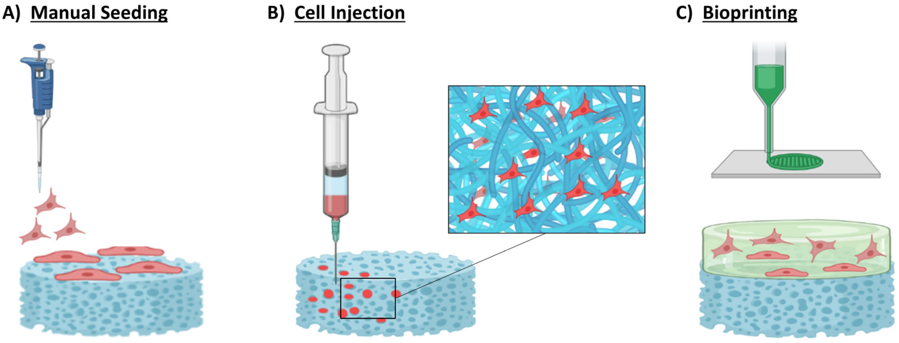 Bioengineering 10 00057 g003 Bioengineering 10 00057 g003
