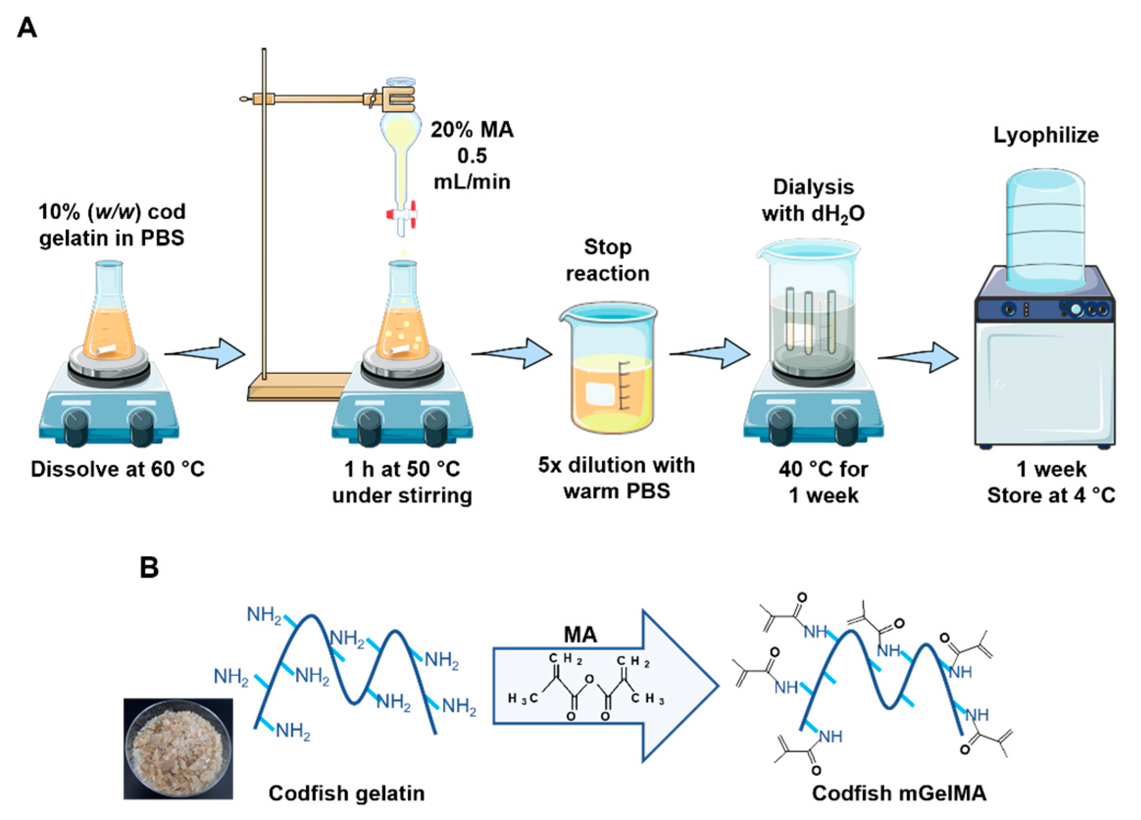 Bioengineering 10 00062 g001