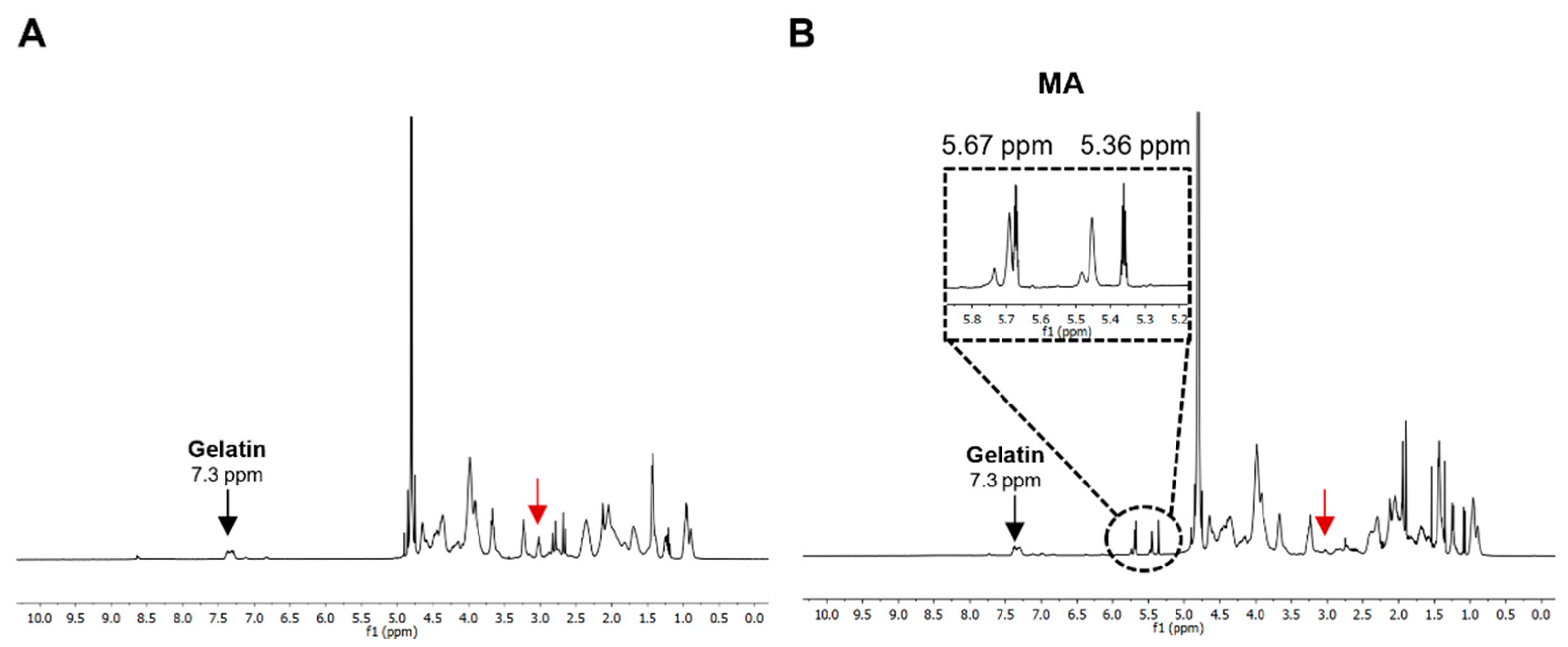 Bioengineering 10 00062 g002