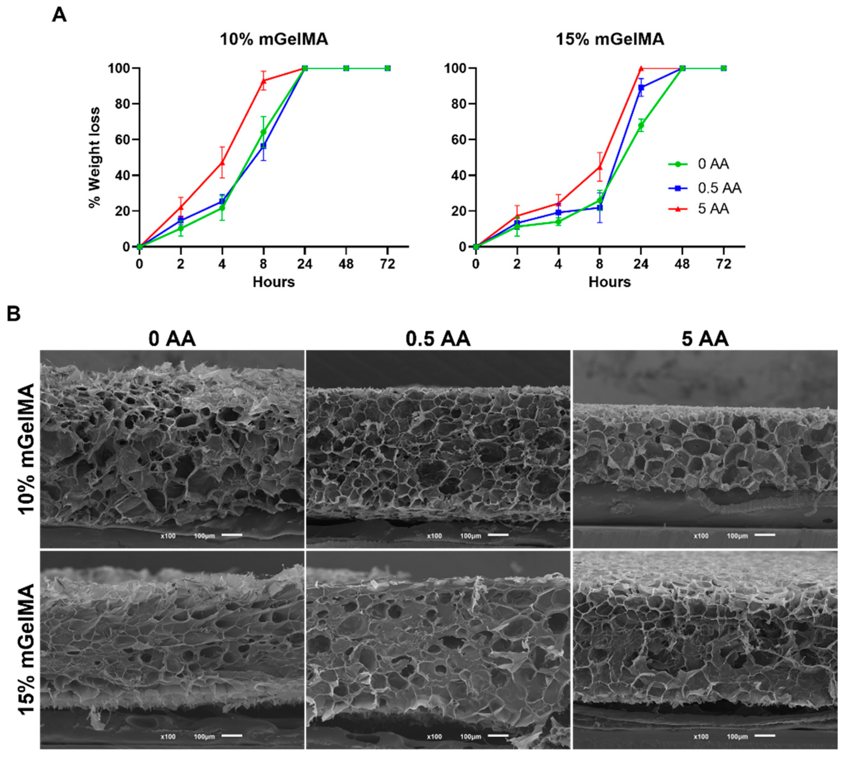 Bioengineering 10 00062 g007