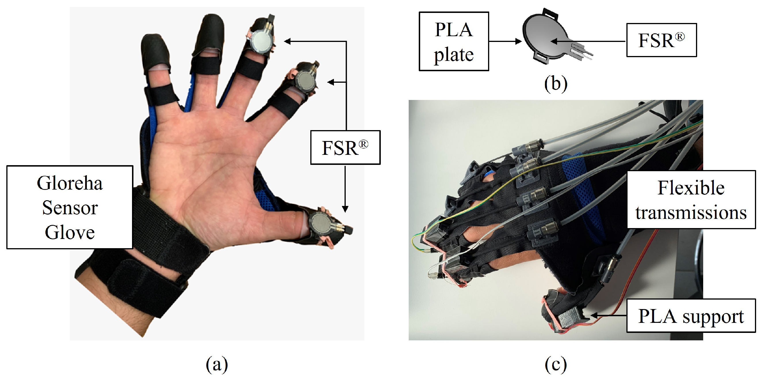Bioengineering 10 00063 g002