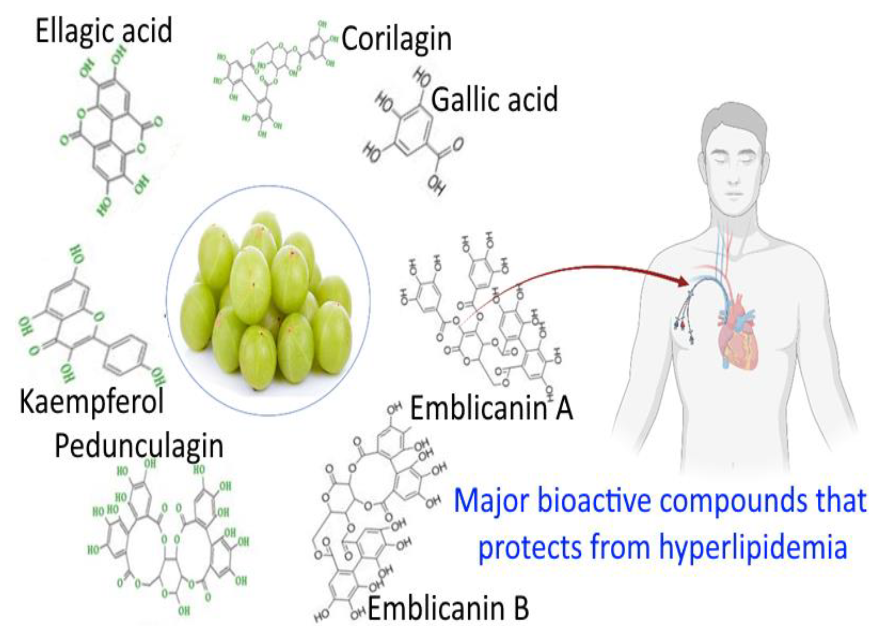 Bioengineering 10 00064 g001 Bioengineering 10 00064 g001