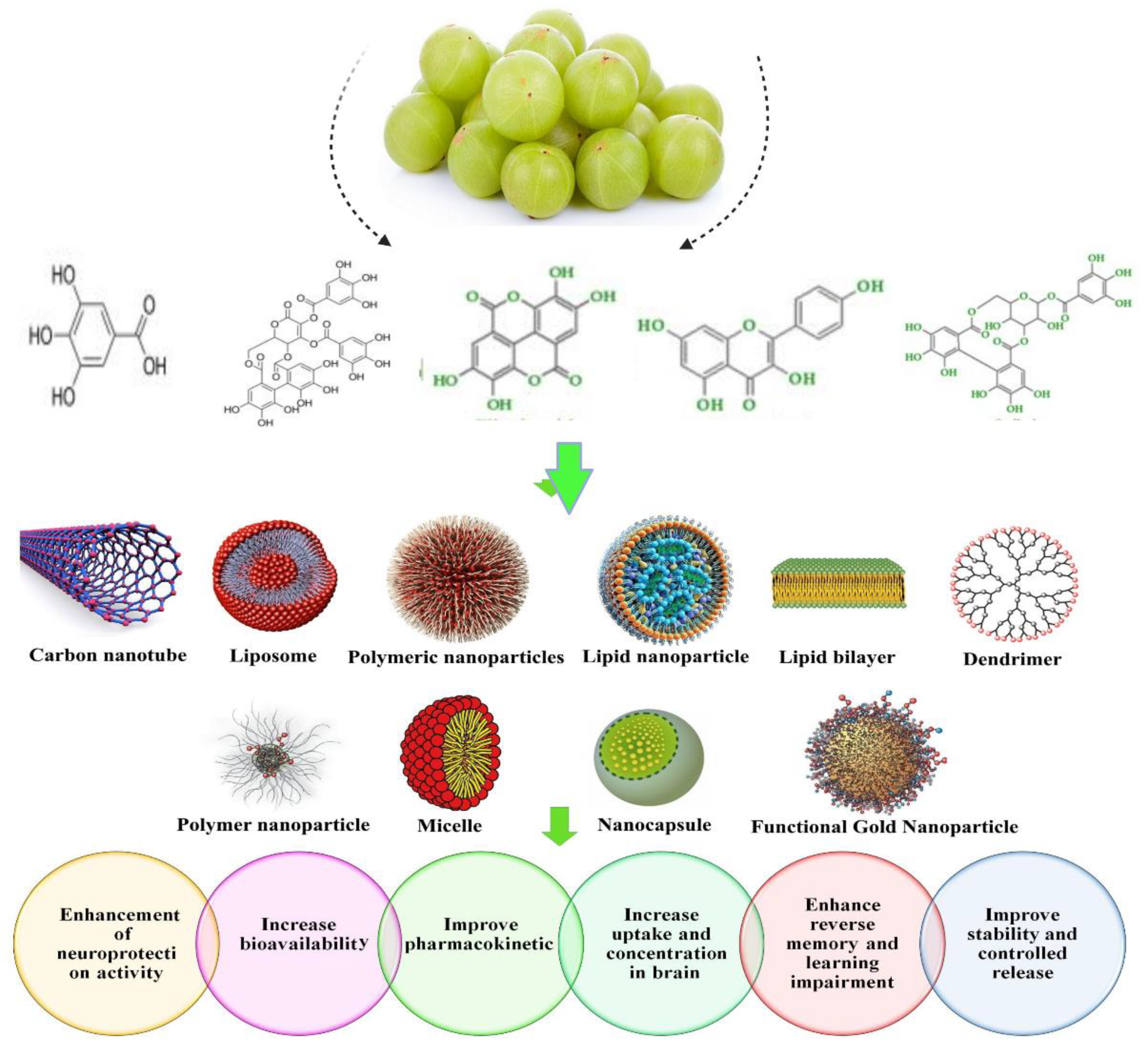 Bioengineering 10 00064 g004 550