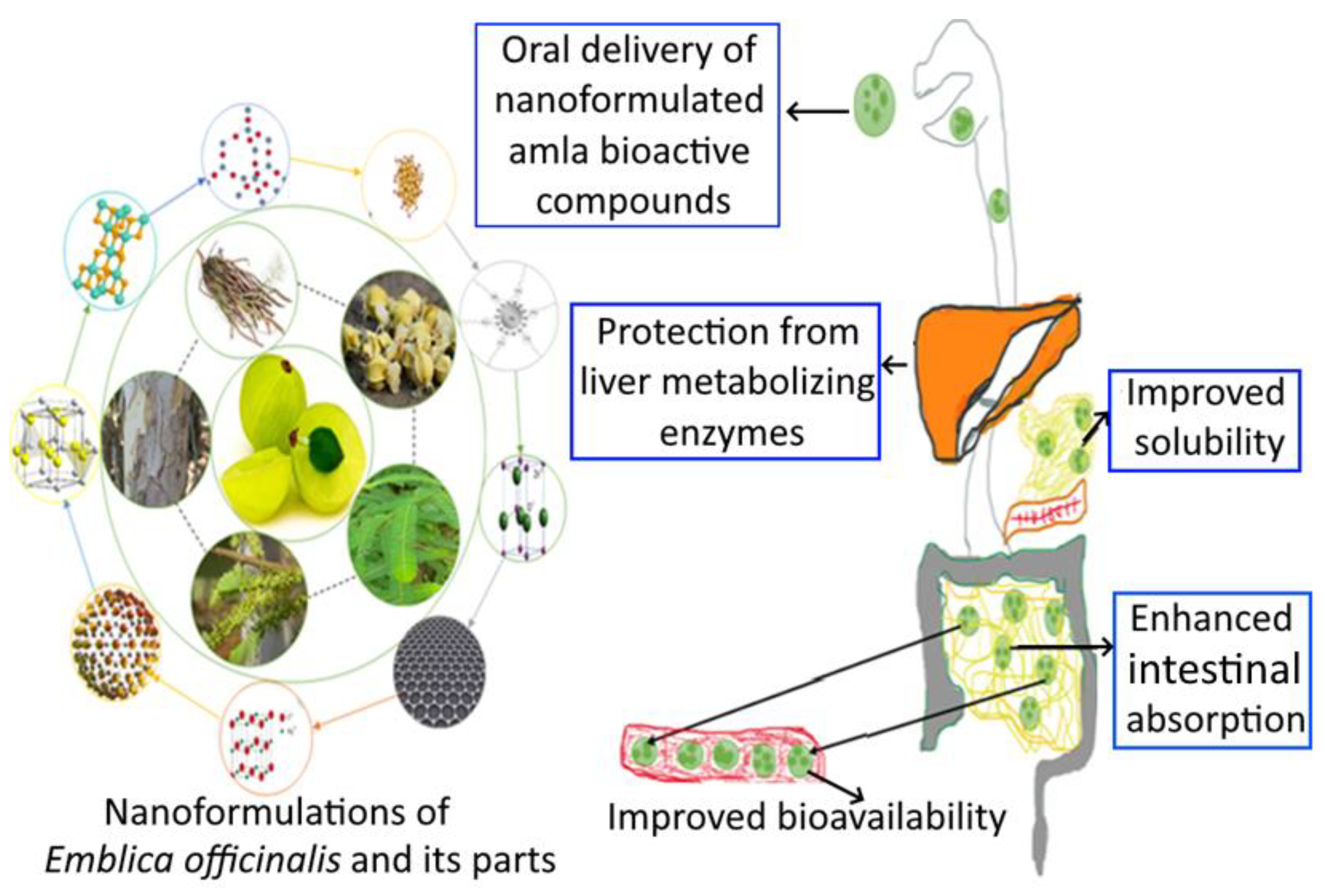 Bioengineering 10 00064 g005 550