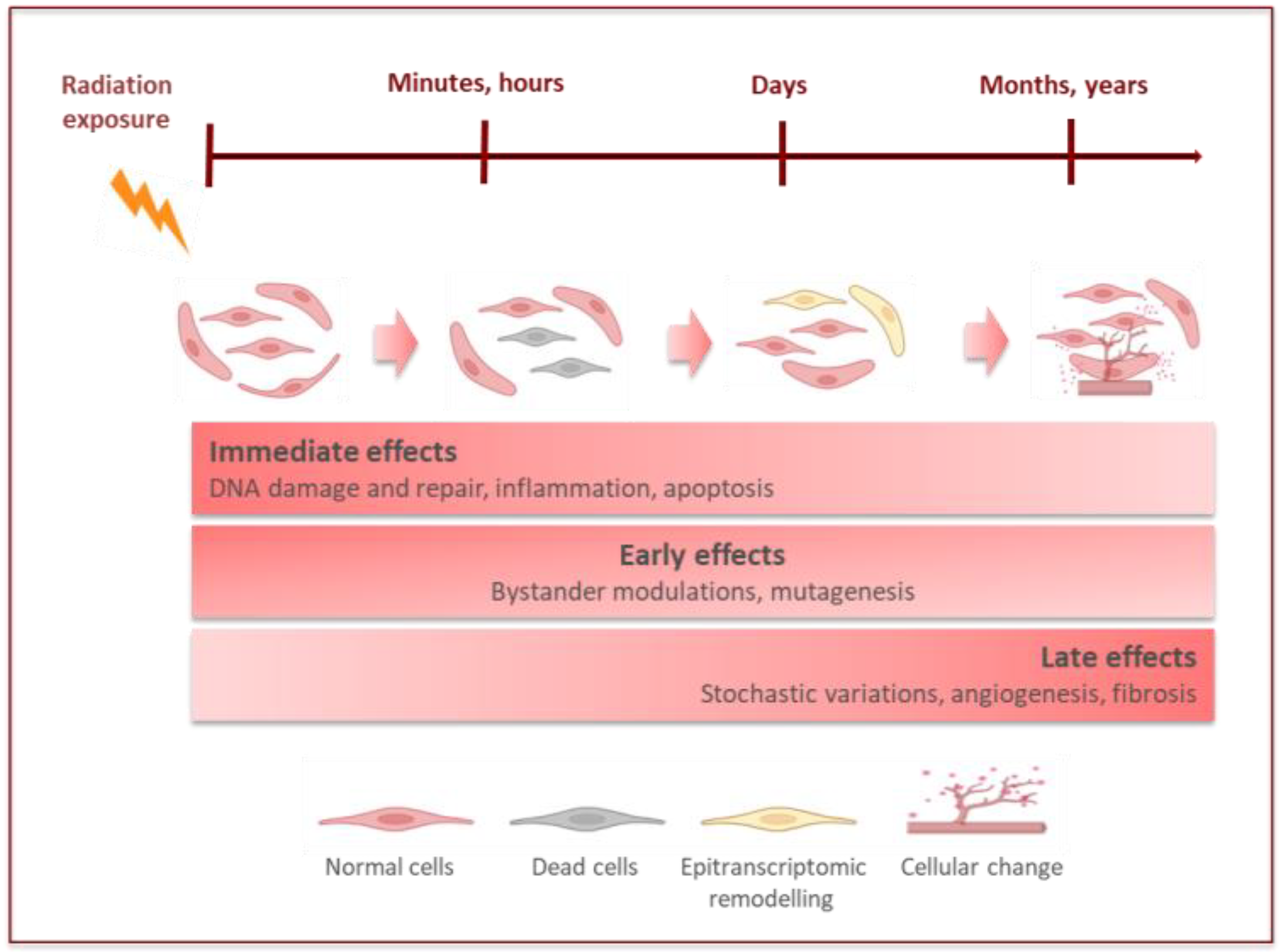 Bioengineering 10 00068 g002 Bioengineering 10 00068 g002