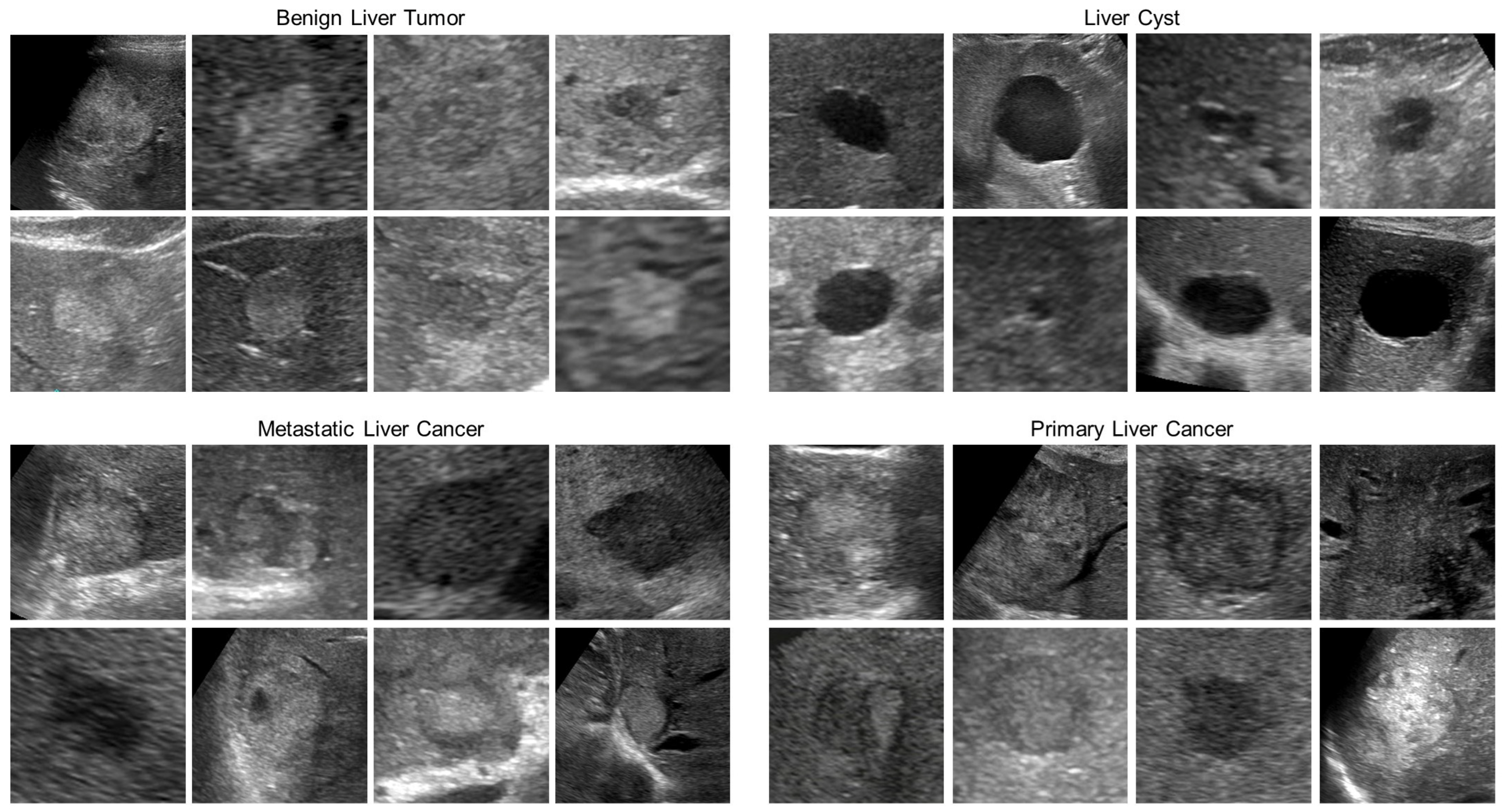 Bioengineering 10 00069 g001