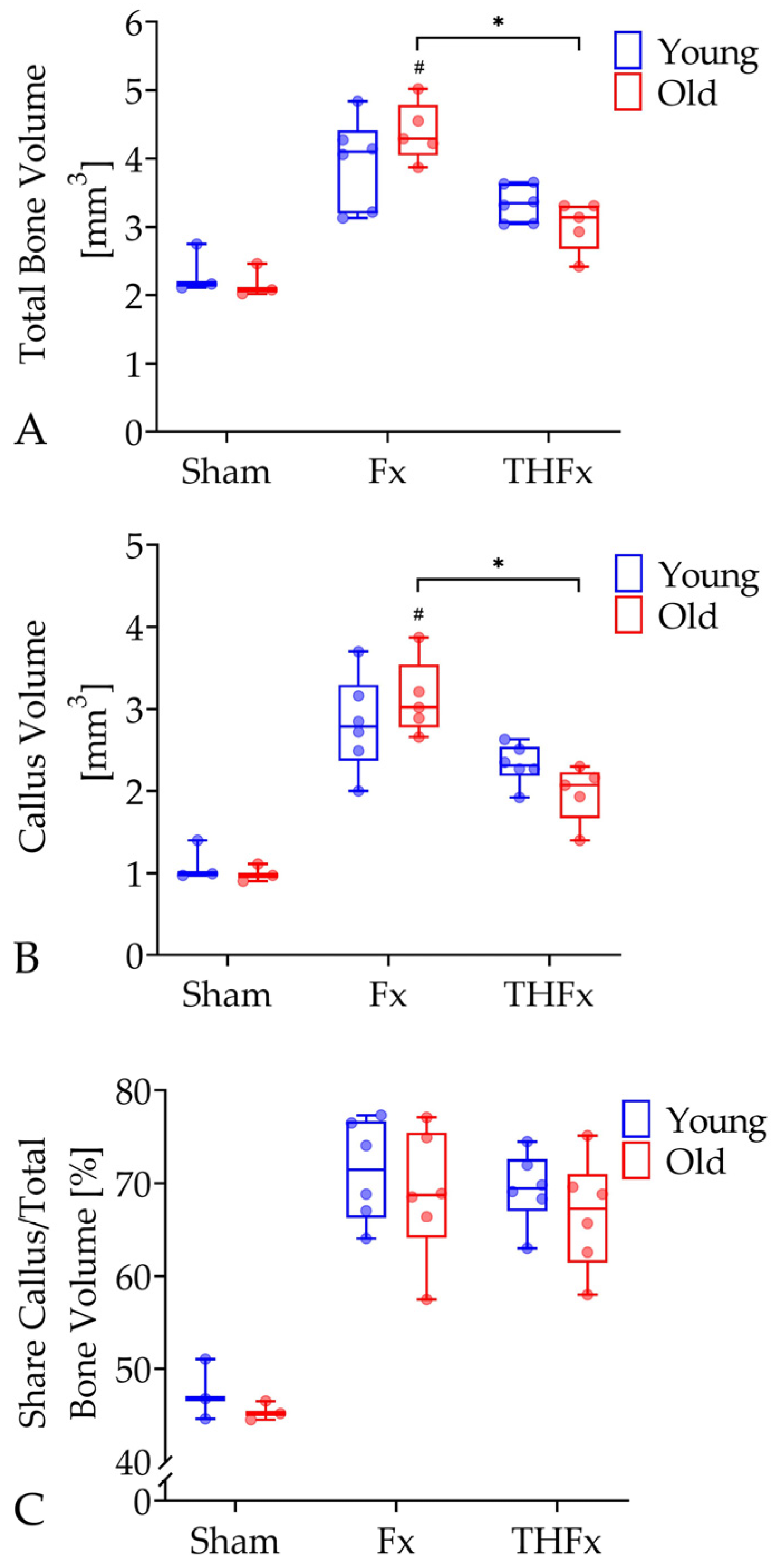 Bioengineering 10 00070 g002 Bioengineering 10 00070 g002