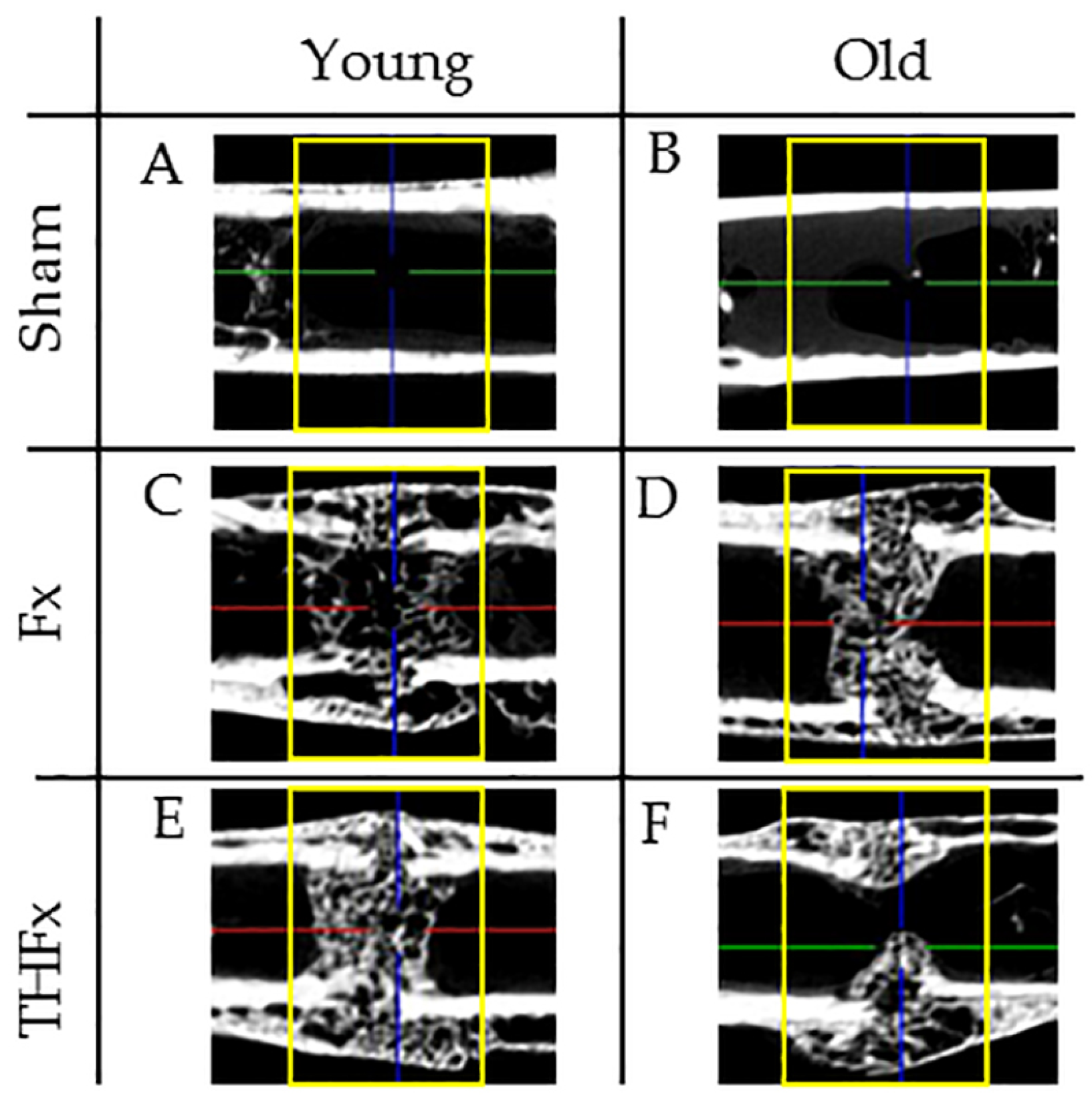 Bioengineering 10 00070 g003 Bioengineering 10 00070 g003