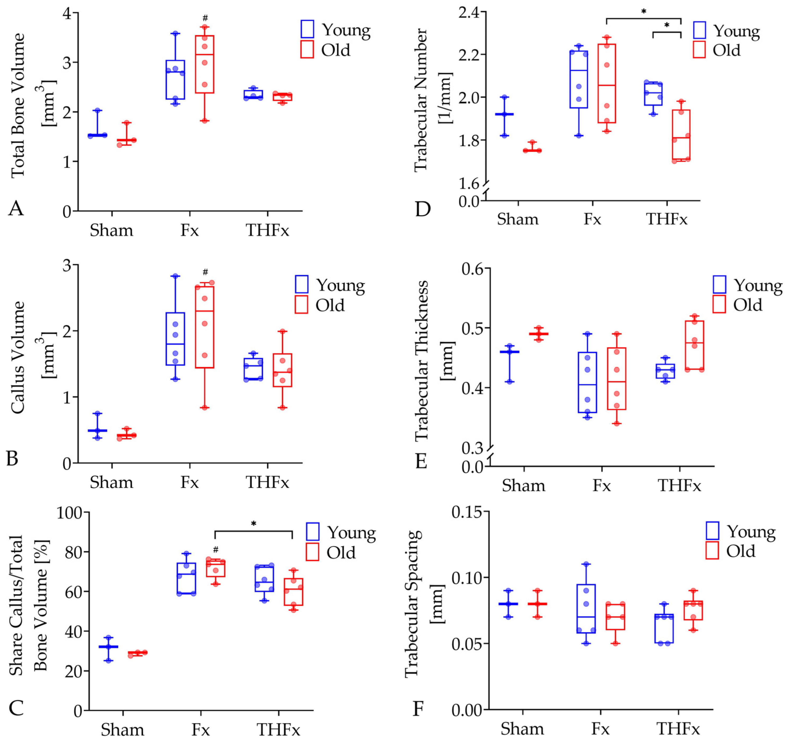 Bioengineering 10 00070 g004 Bioengineering 10 00070 g004