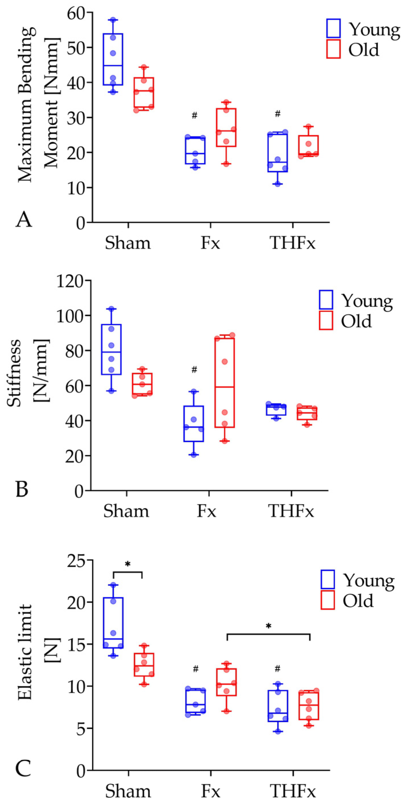 Bioengineering 10 00070 g005 Bioengineering 10 00070 g005