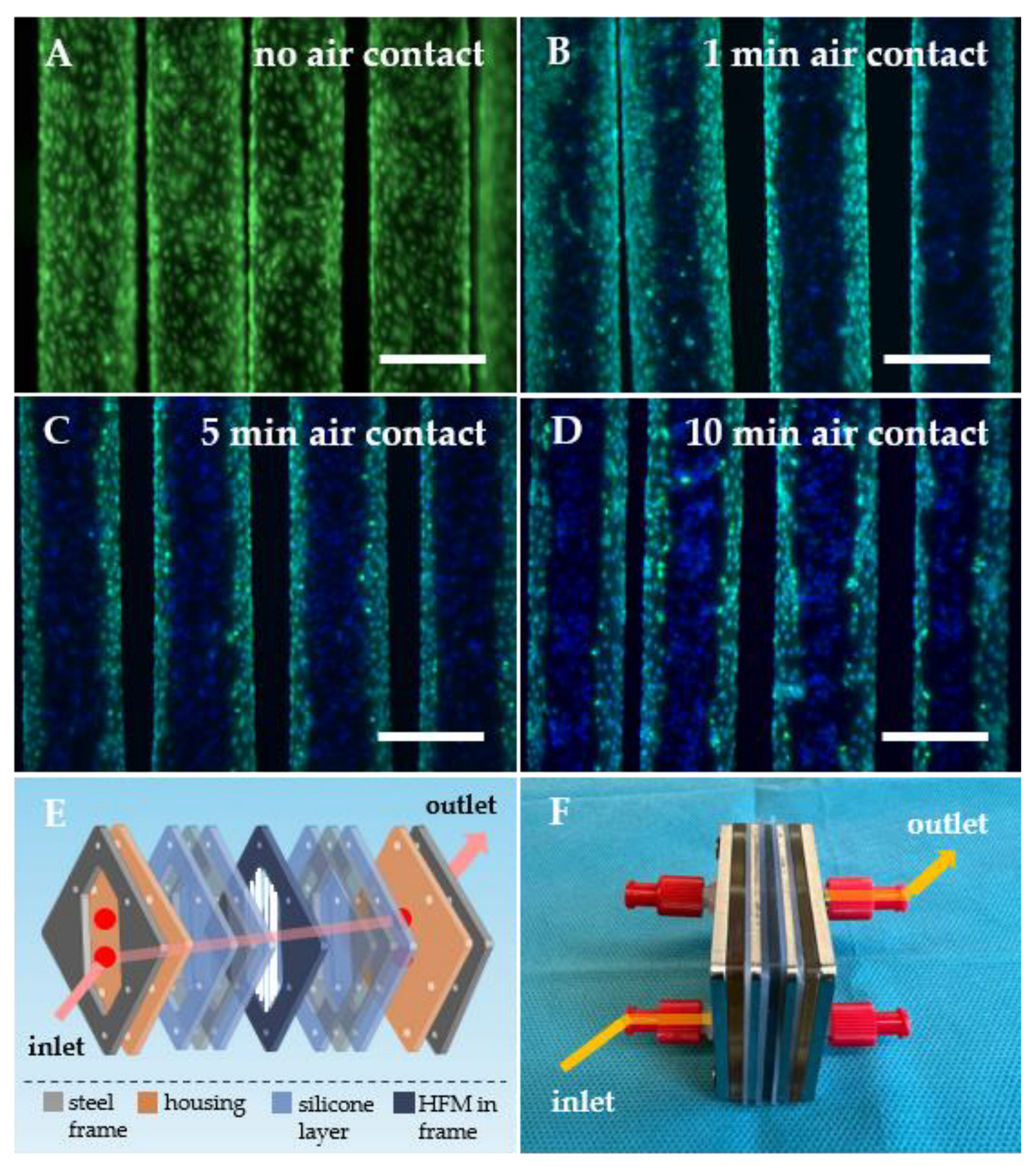 Bioengineering 10 00072 g001 Bioengineering 10 00072 g001