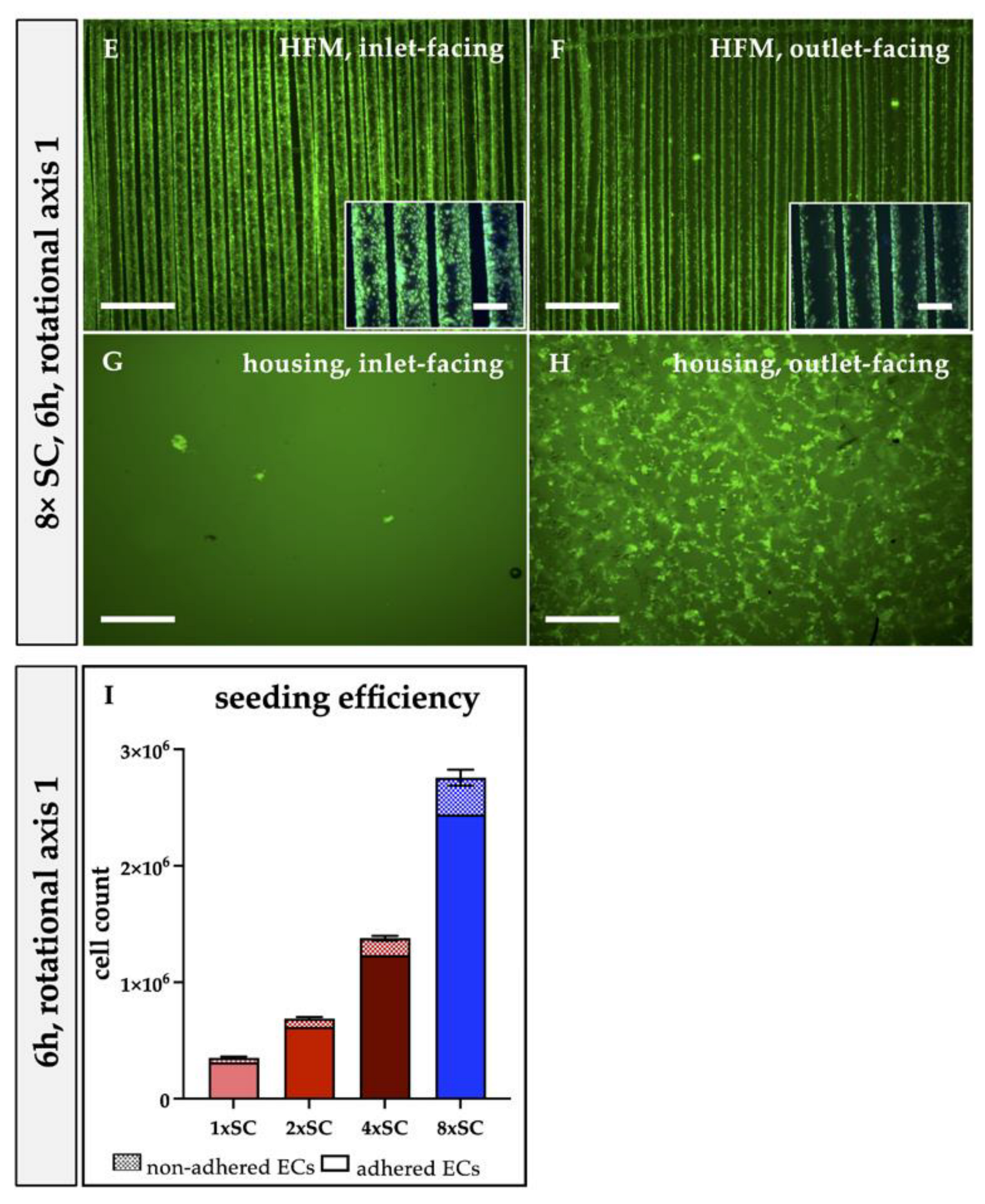 Bioengineering 10 00072 g002b Bioengineering 10 00072 g002b