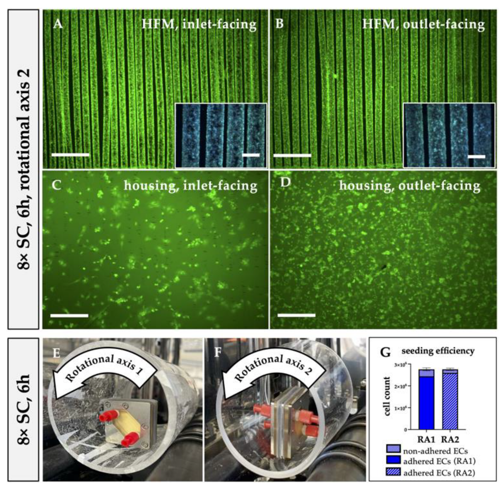 Bioengineering 10 00072 g005 Bioengineering 10 00072 g005