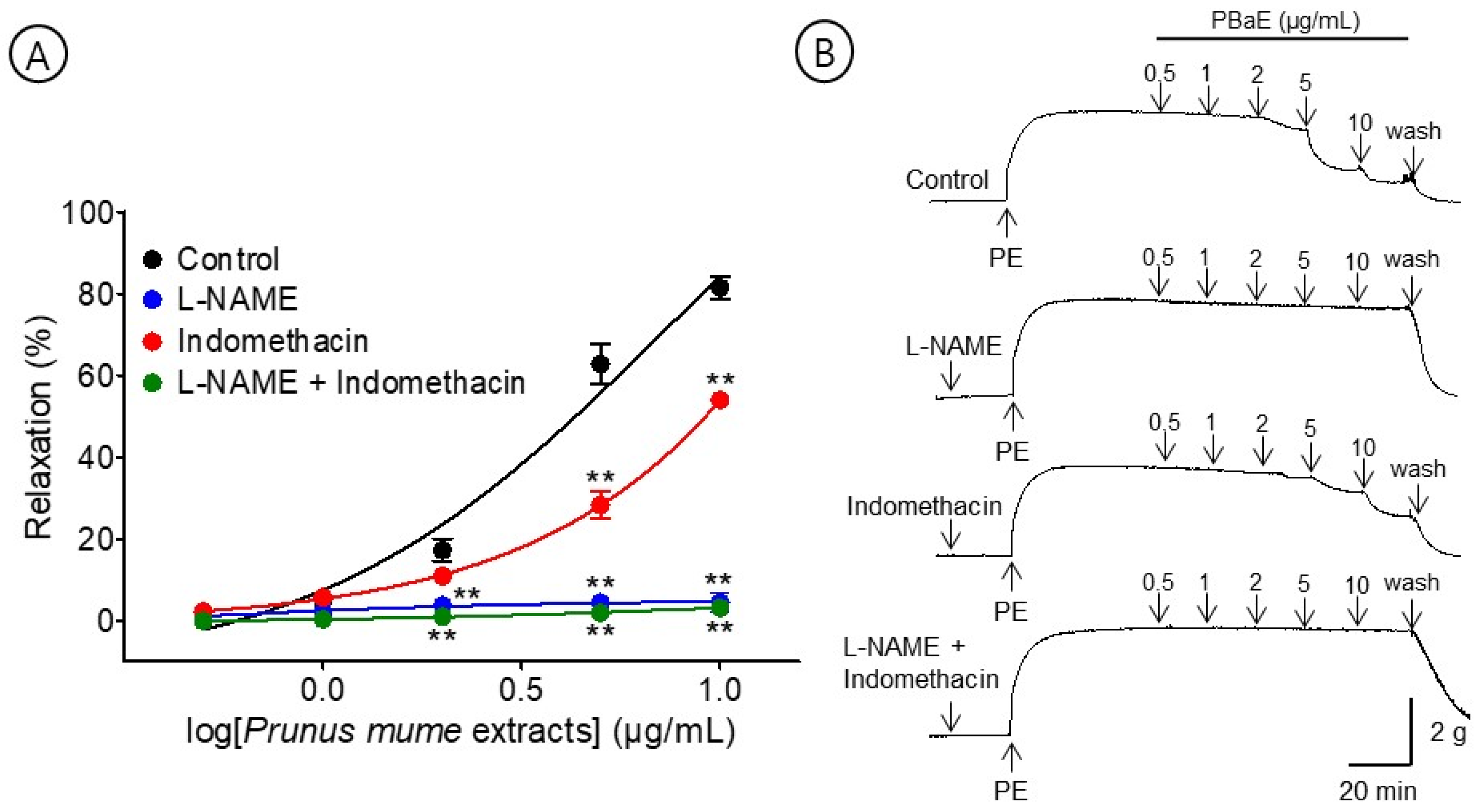 Bioengineering 10 00074 g008 Bioengineering 10 00074 g008