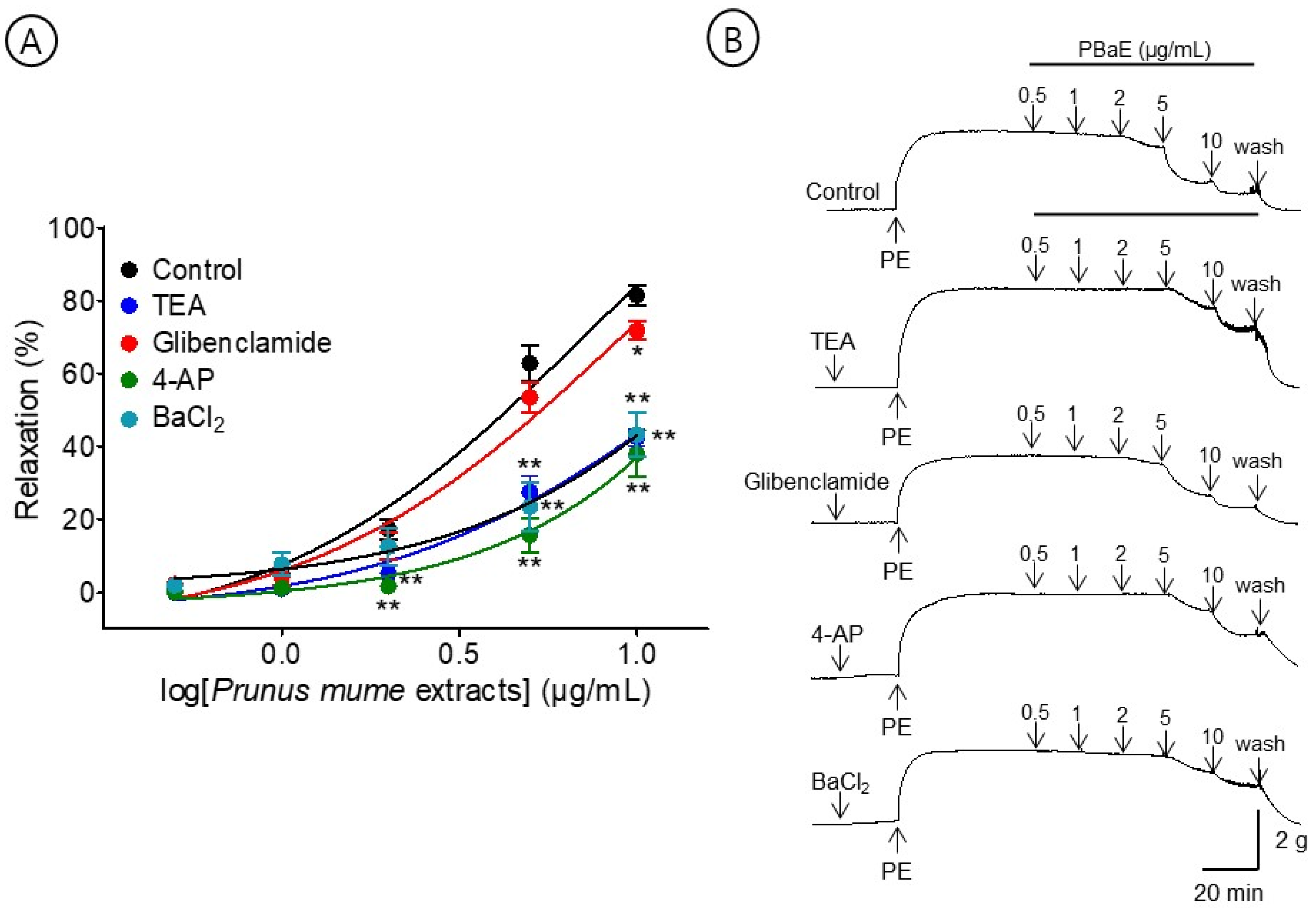 Bioengineering 10 00074 g010 Bioengineering 10 00074 g010