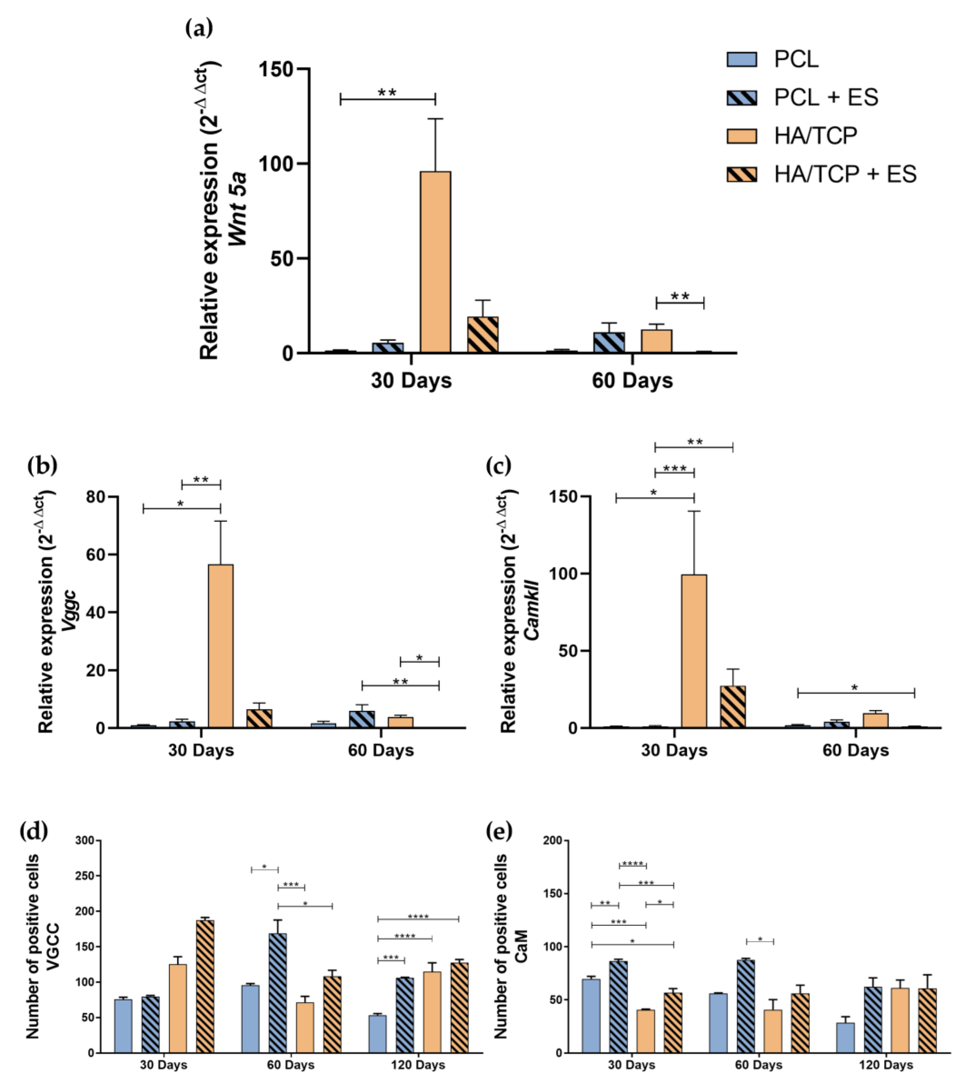 Bioengineering 10 00075 g003 Bioengineering 10 00075 g003