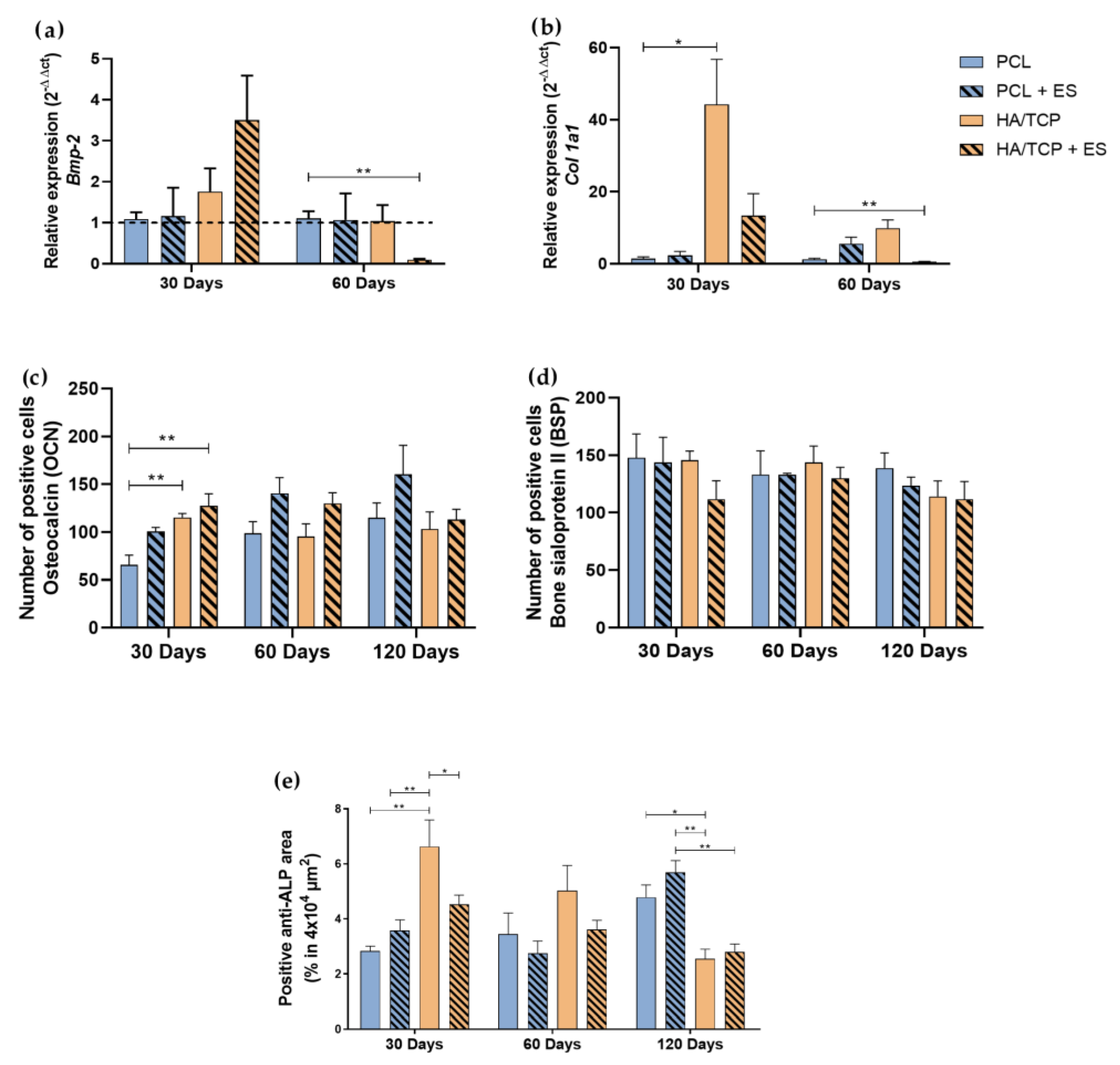 Bioengineering 10 00075 g004 Bioengineering 10 00075 g004