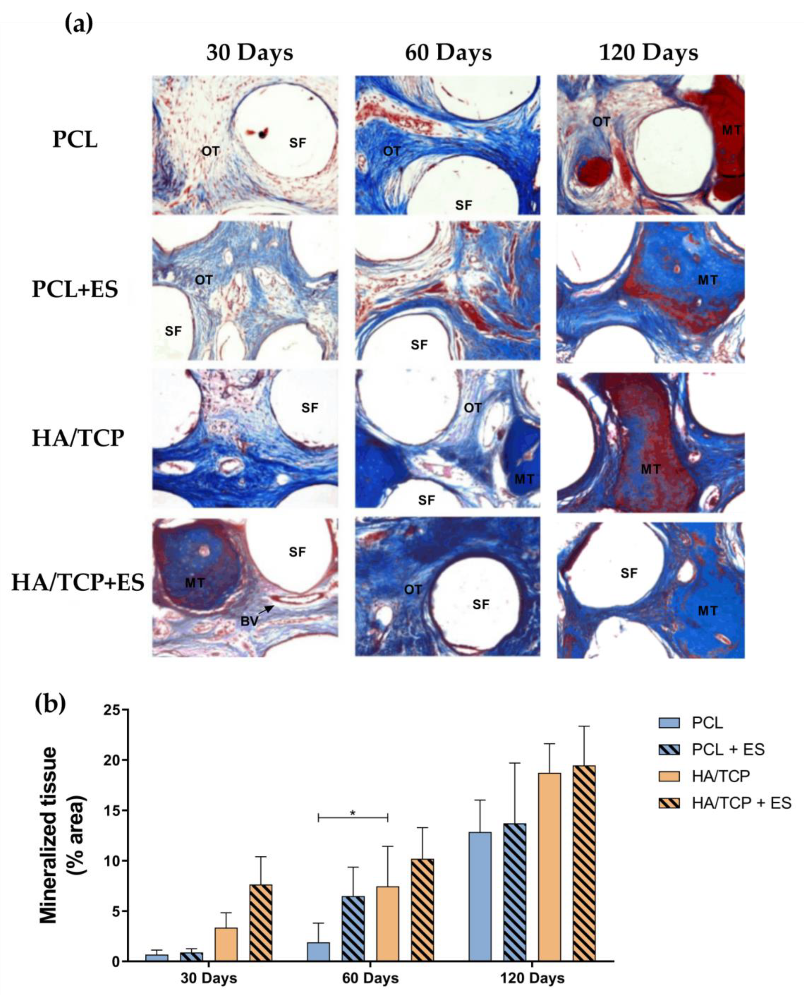Bioengineering 10 00075 g007 Bioengineering 10 00075 g007
