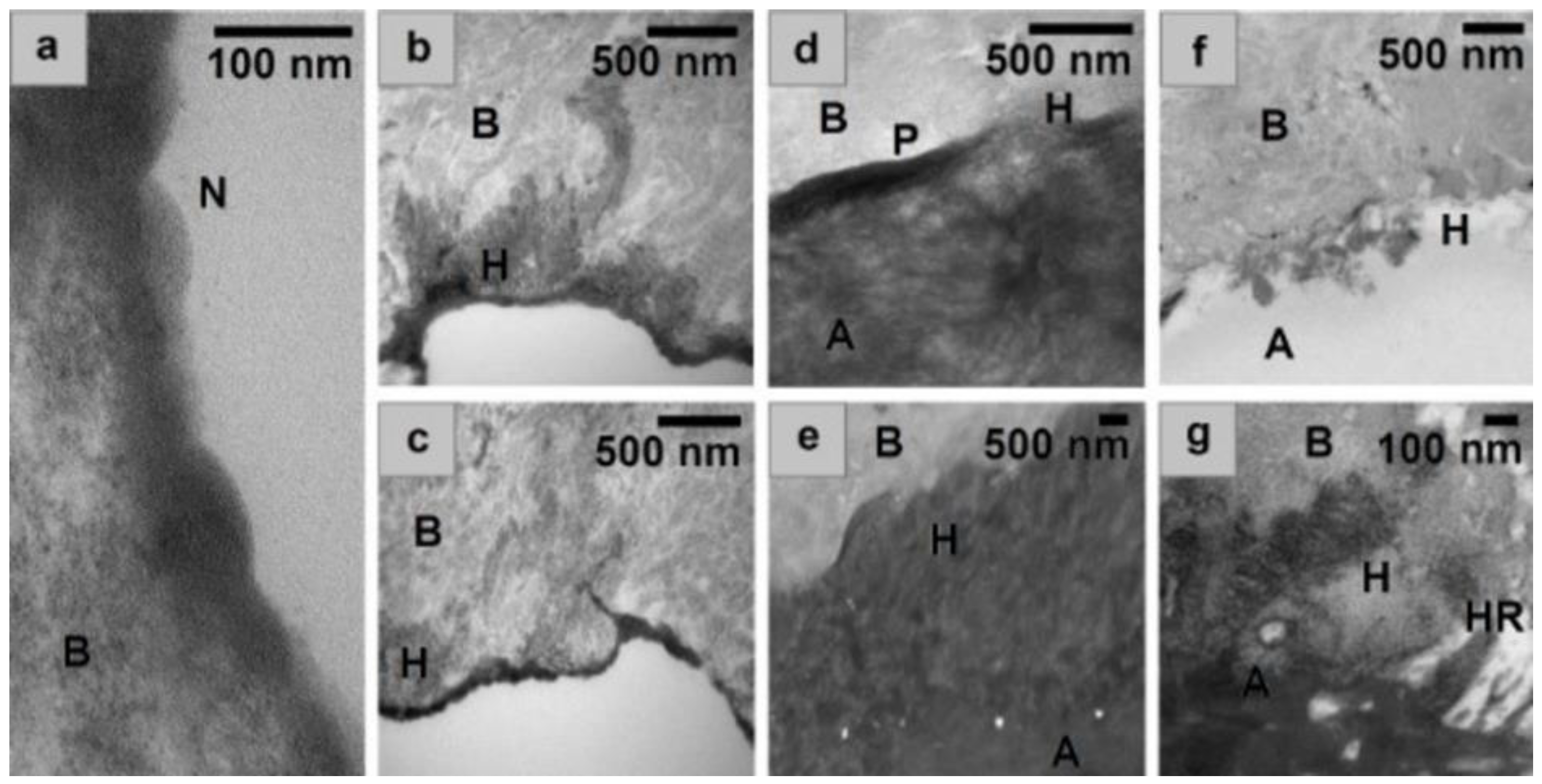 Bioengineering 10 00078 g003