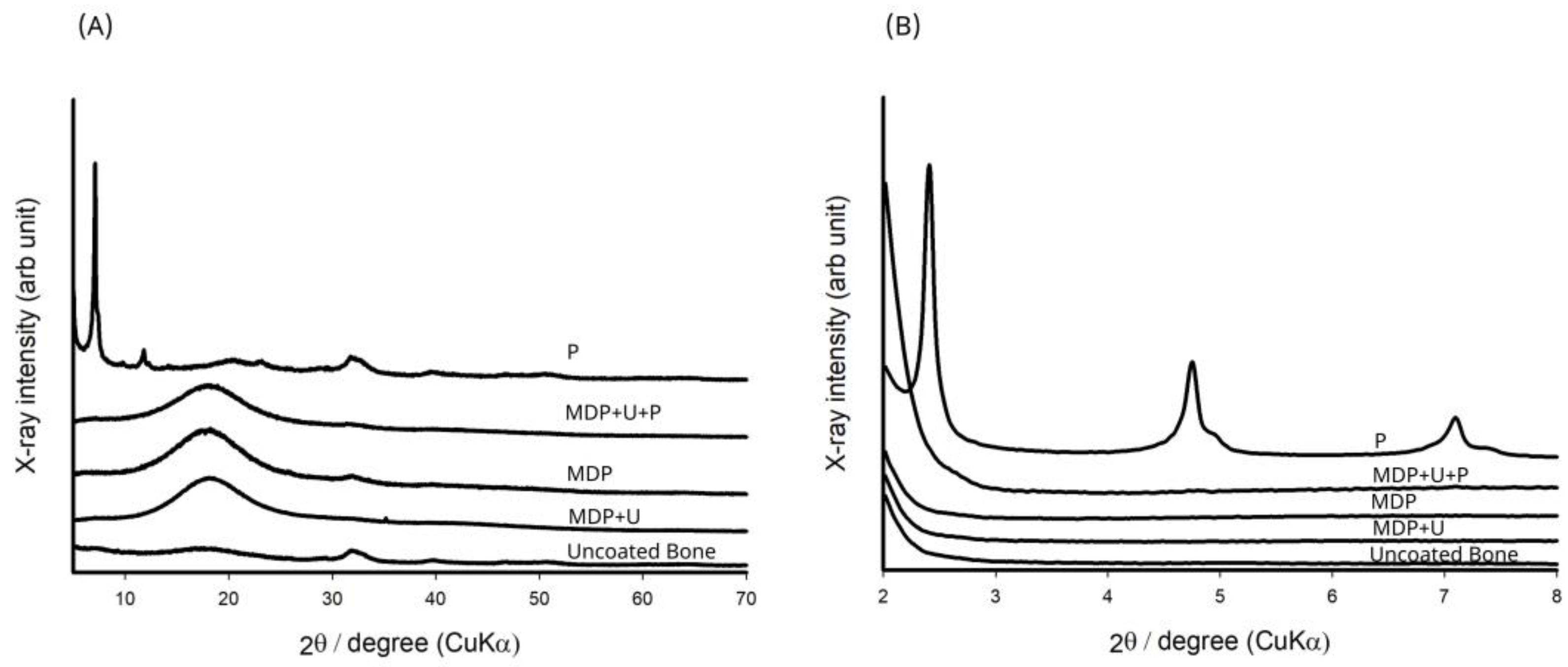Bioengineering 10 00078 g004