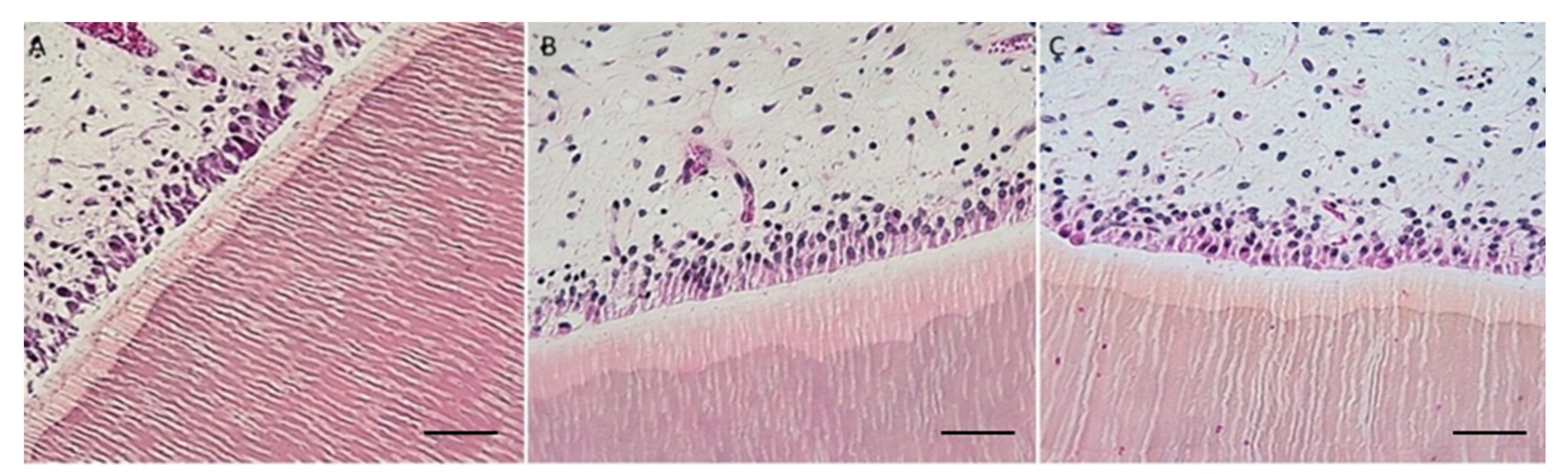 Bioengineering 10 00079 g003a