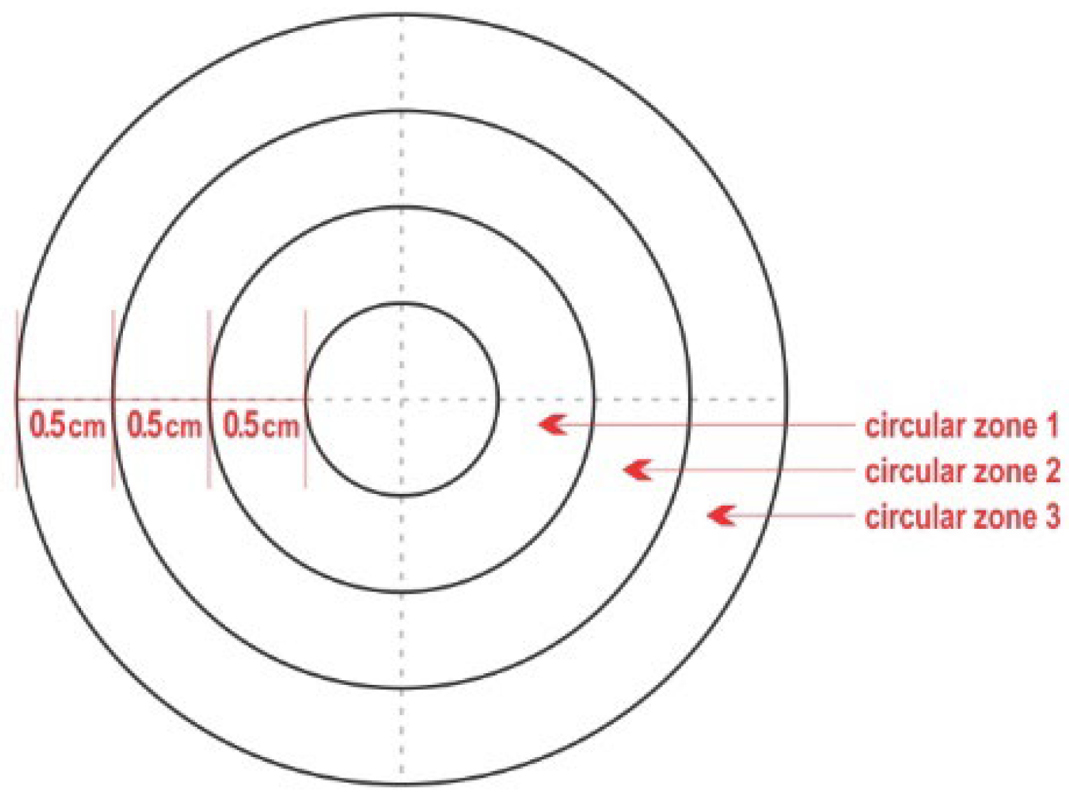 Bioengineering 10 00081 g001