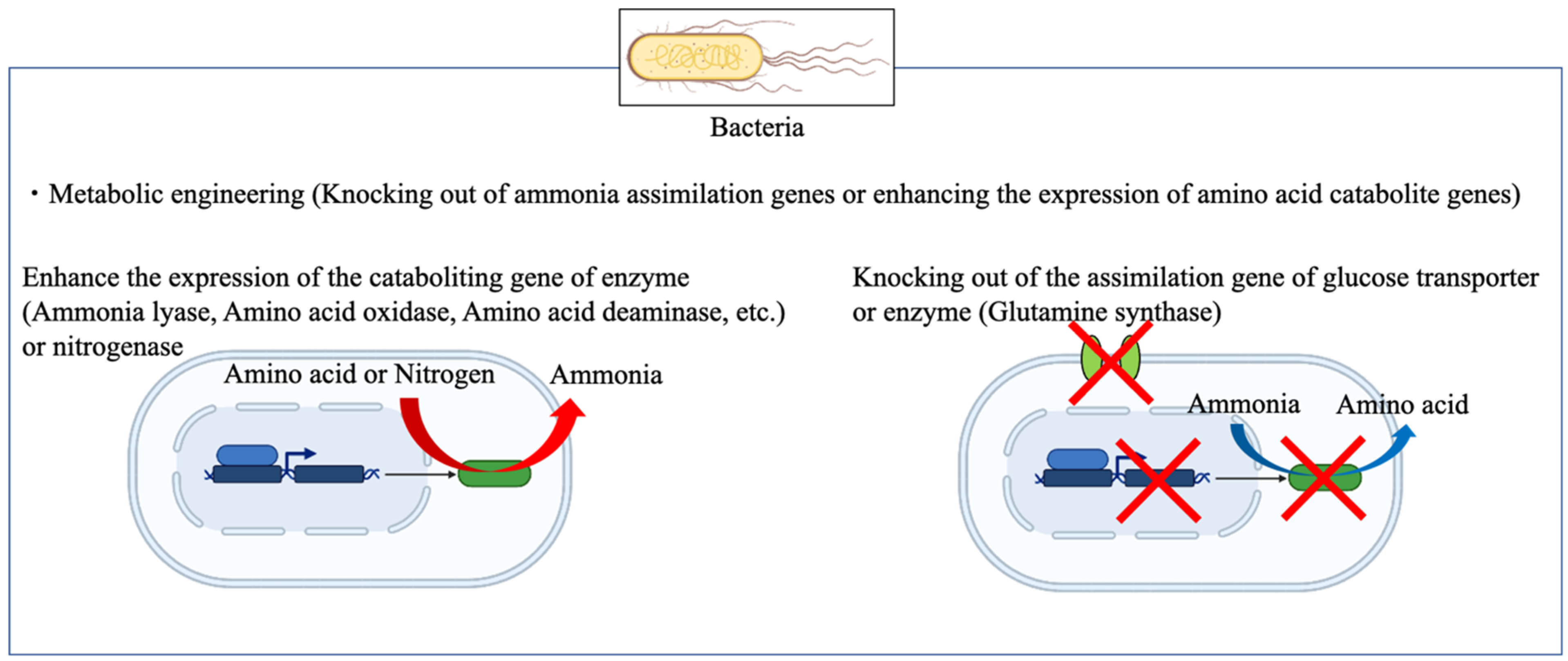 Bioengineering 10 00082 g003