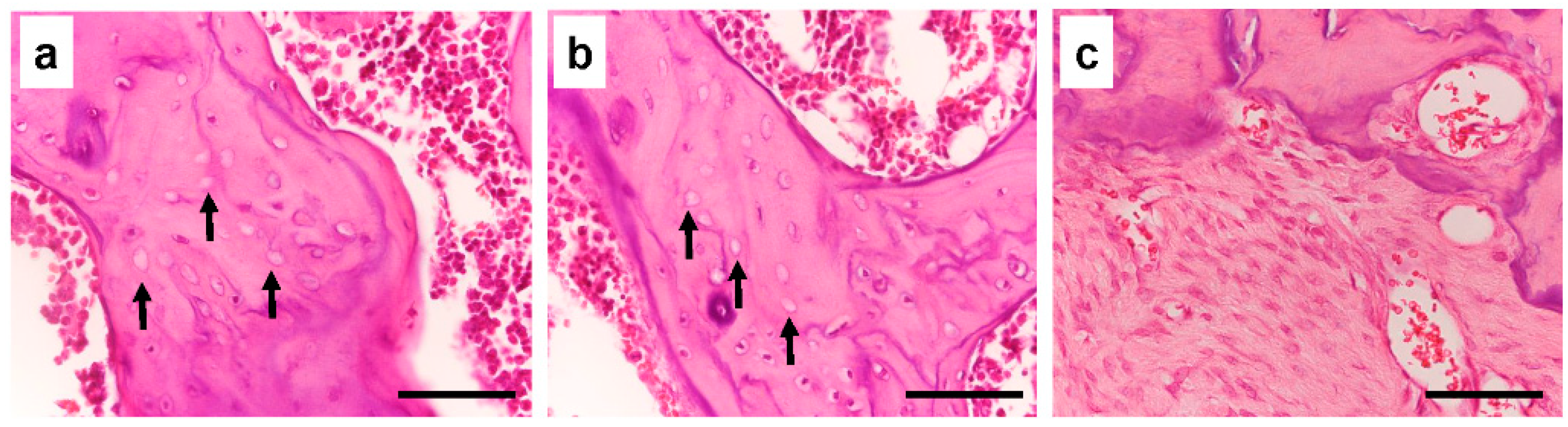 Bioengineering 10 00086 g002