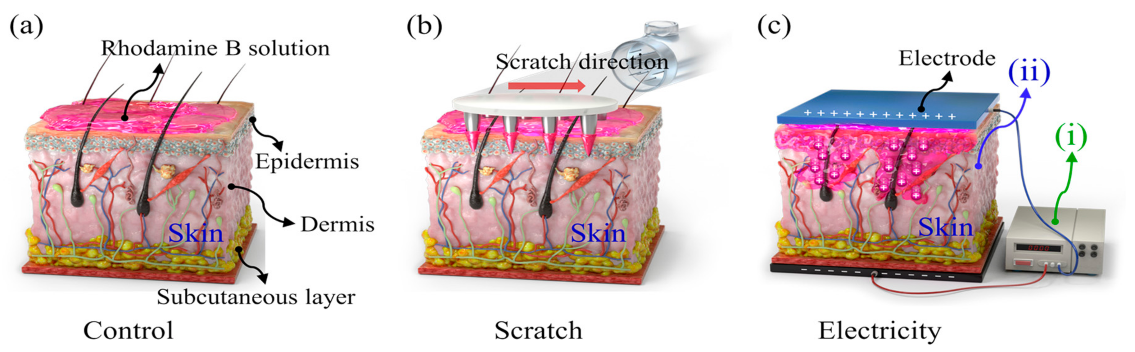 Bioengineering 10 00088 g001 Bioengineering 10 00088 g001