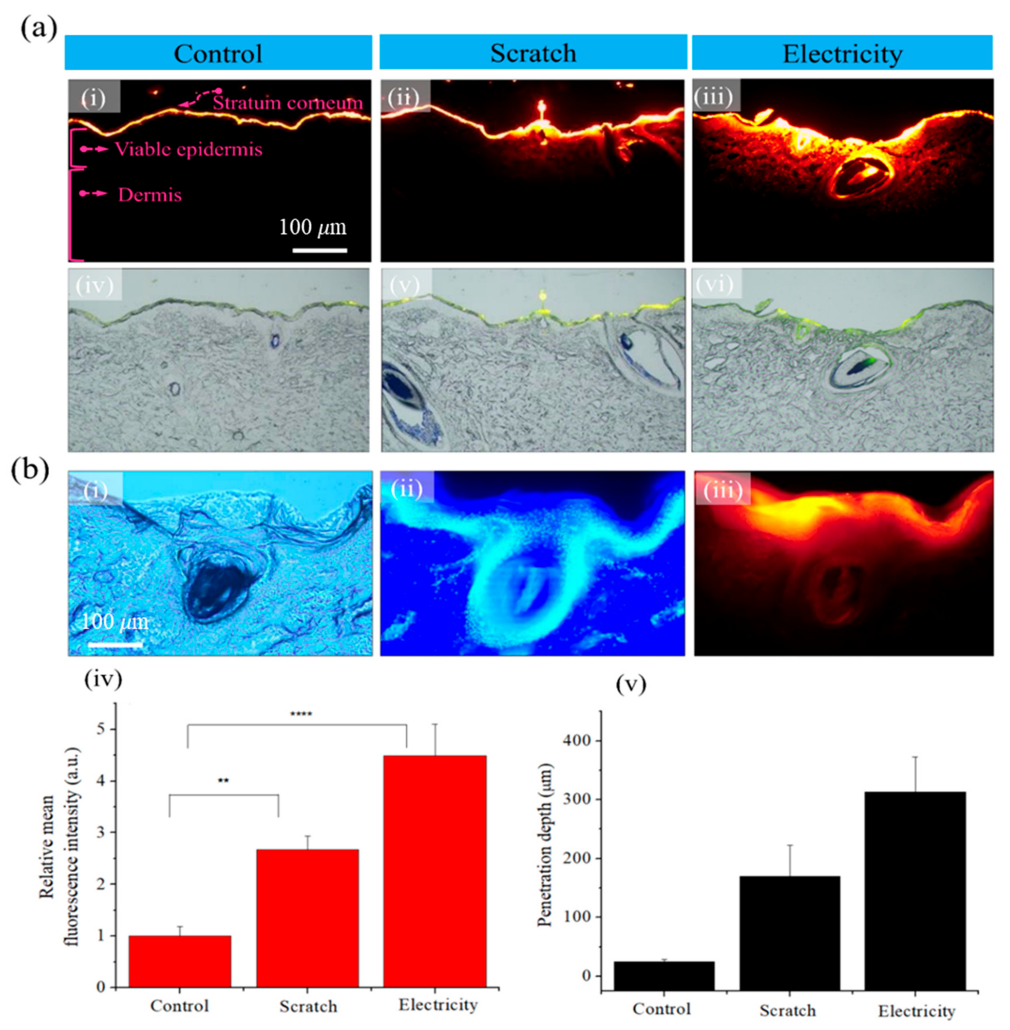 Bioengineering 10 00088 g002 Bioengineering 10 00088 g002