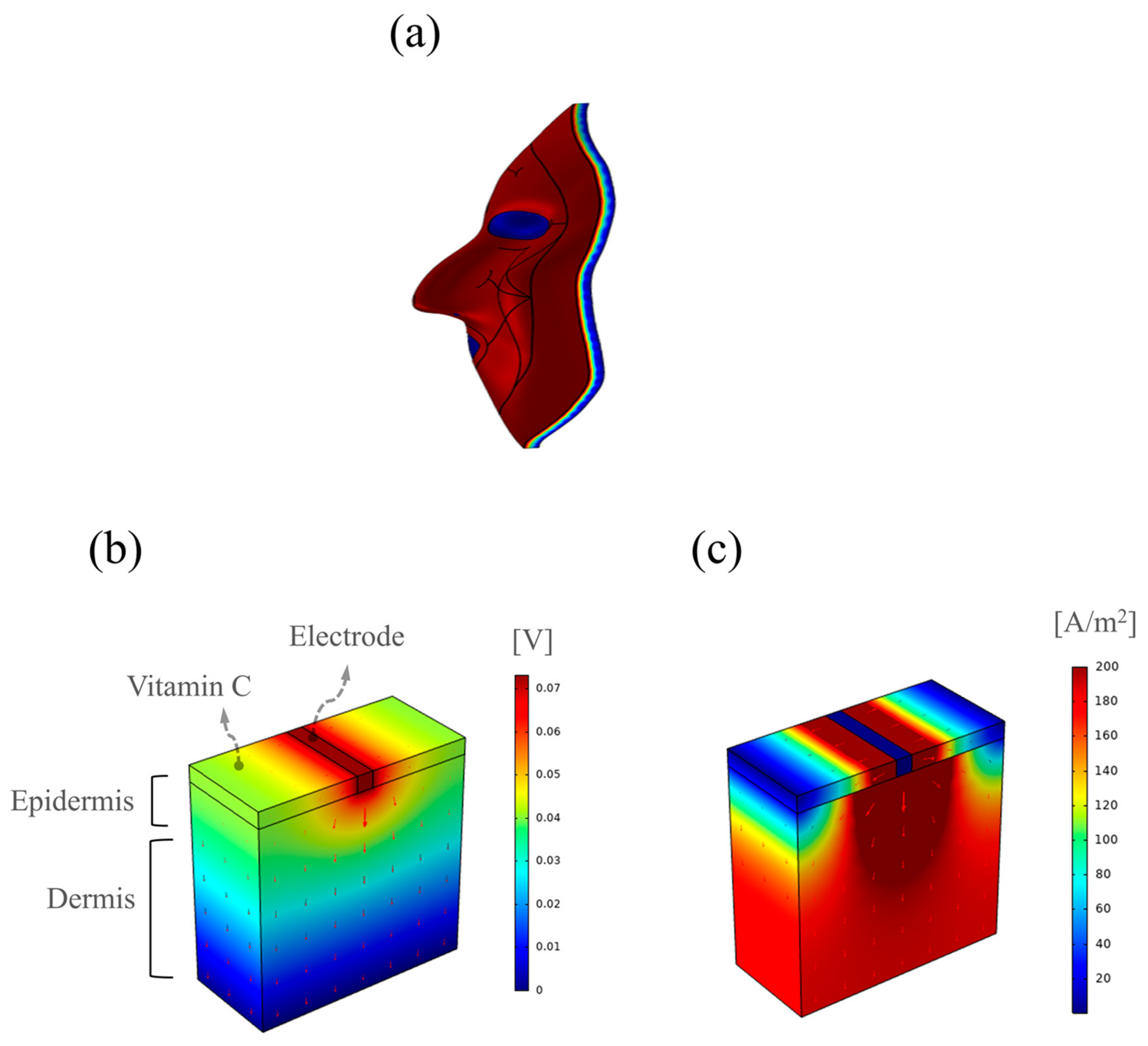 Bioengineering 10 00088 g008 Bioengineering 10 00088 g008