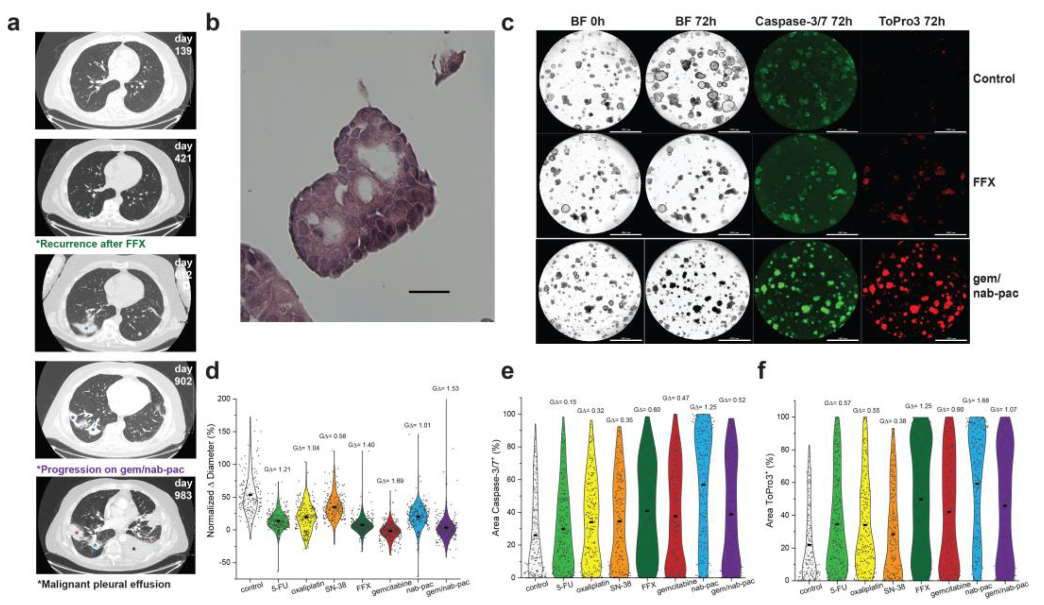 Bioengineering 10 00091 g004