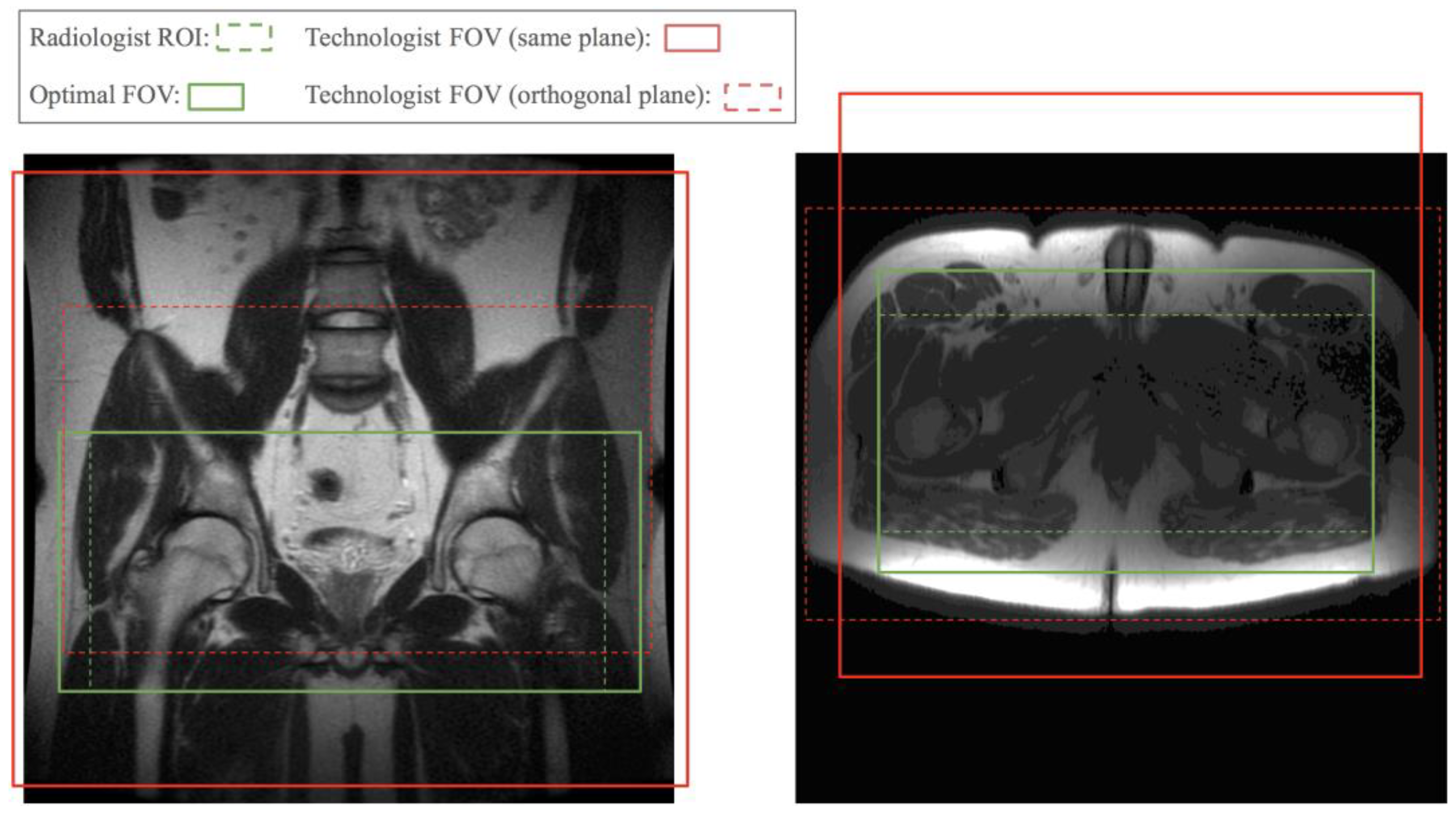 Bioengineering 10 00092 g001