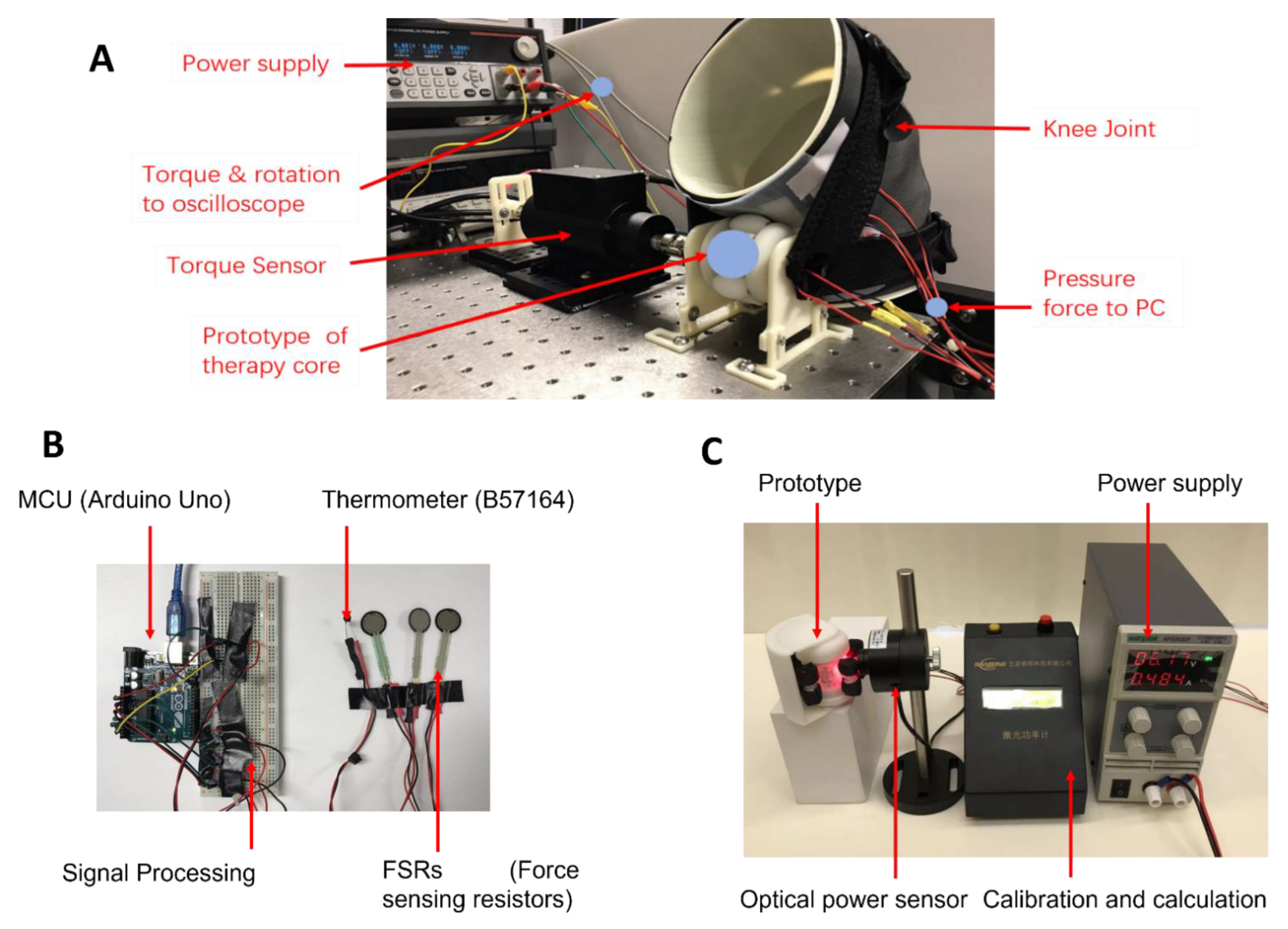 Bioengineering 10 00095 g005 Bioengineering 10 00095 g005