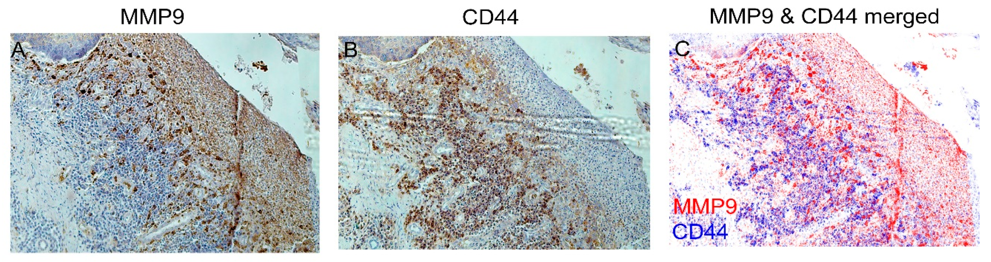 Bioengineering 10 00096 g006 Bioengineering 10 00096 g006