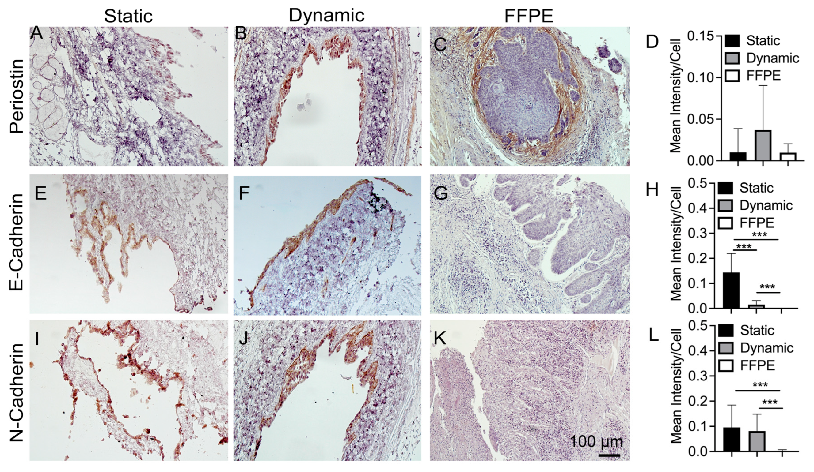 Bioengineering 10 00096 g007 Bioengineering 10 00096 g007
