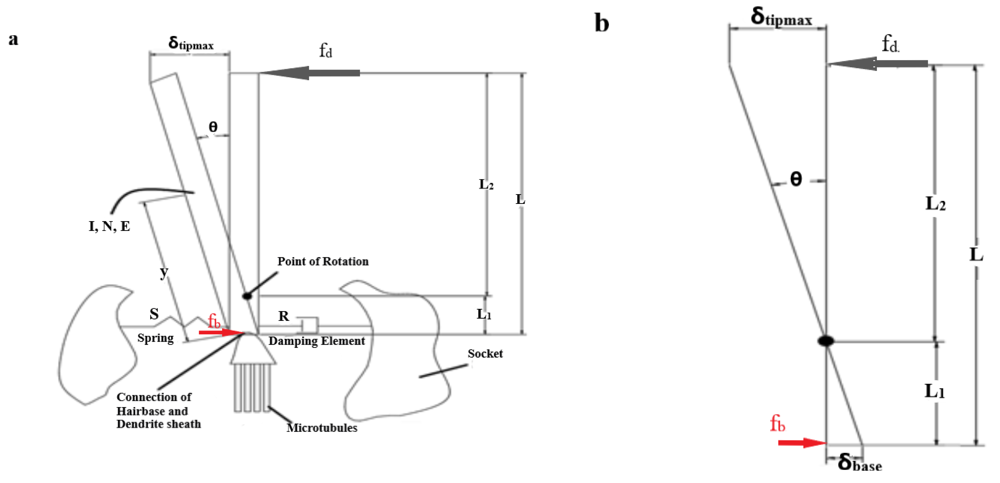Bioengineering 10 00097 g001 Bioengineering 10 00097 g001