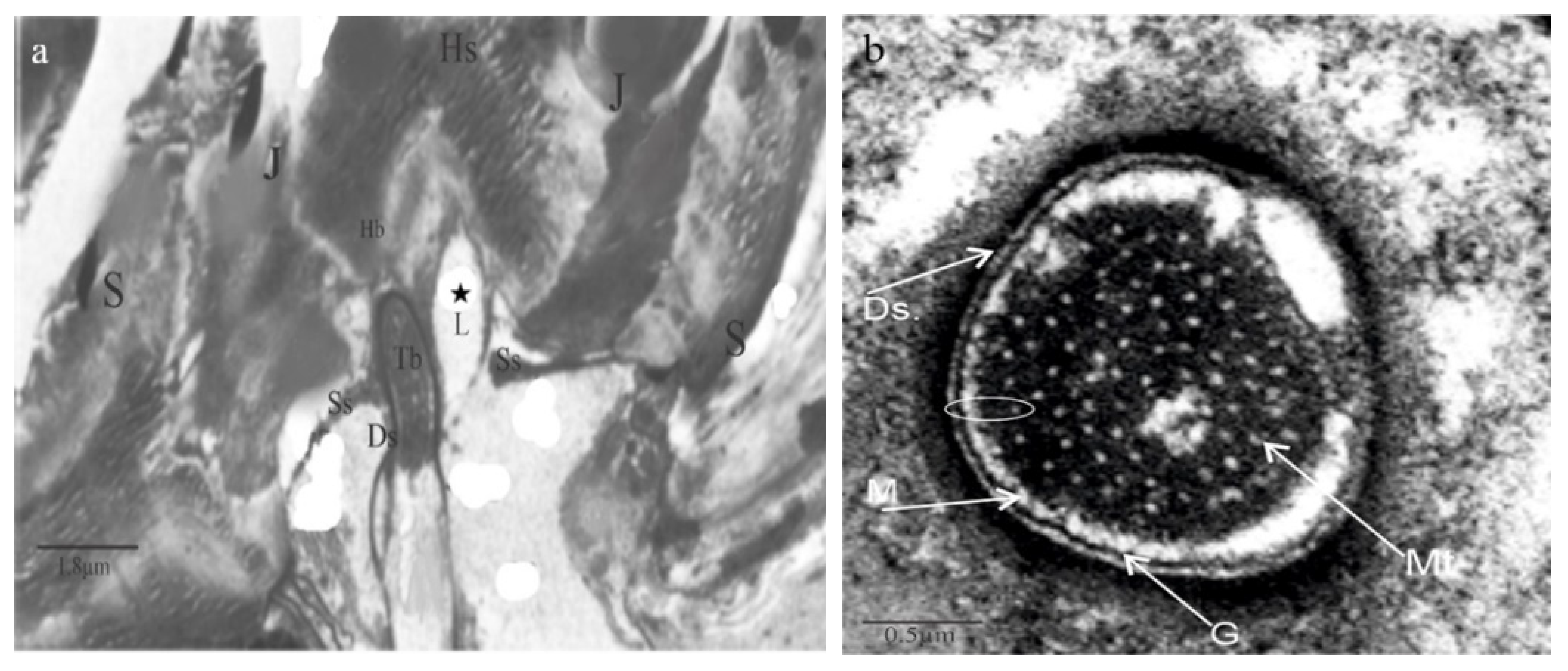 Bioengineering 10 00097 g003 Bioengineering 10 00097 g003