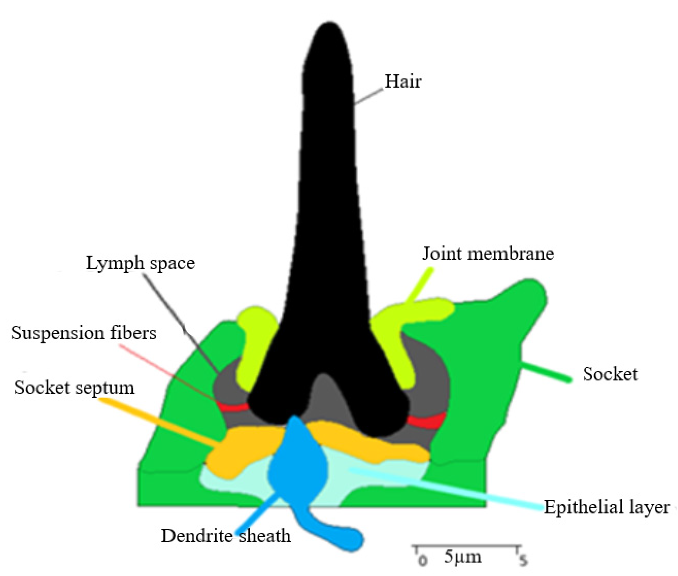 Bioengineering 10 00097 g004 Bioengineering 10 00097 g004