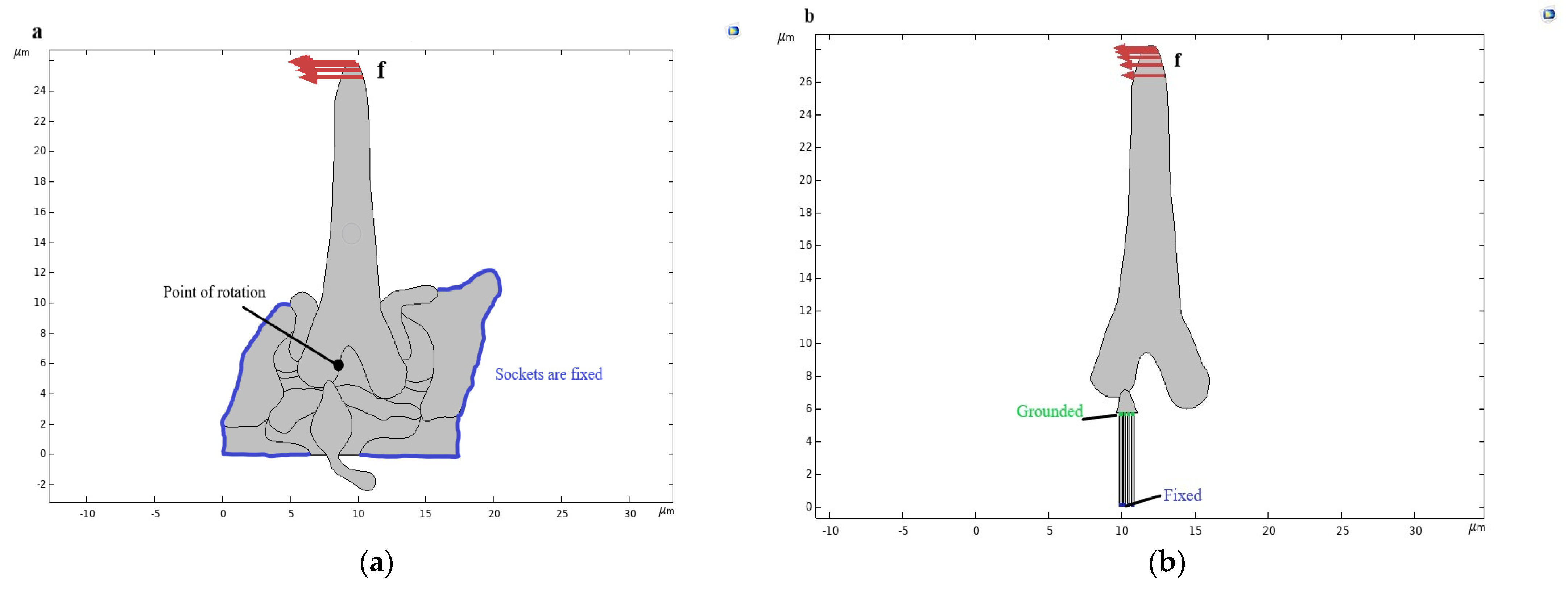 Bioengineering 10 00097 g005 Bioengineering 10 00097 g005