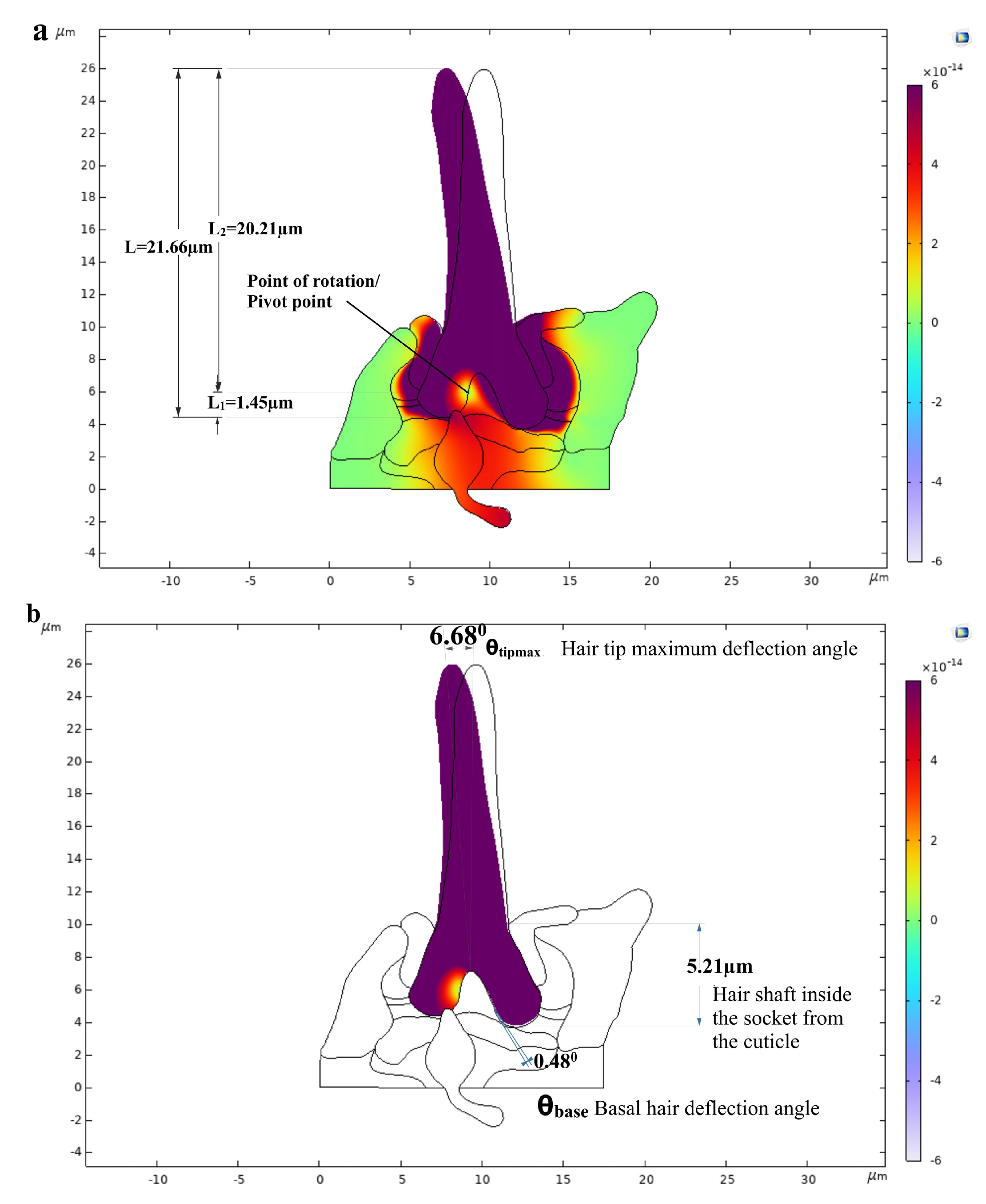 Bioengineering 10 00097 g006a Bioengineering 10 00097 g006a