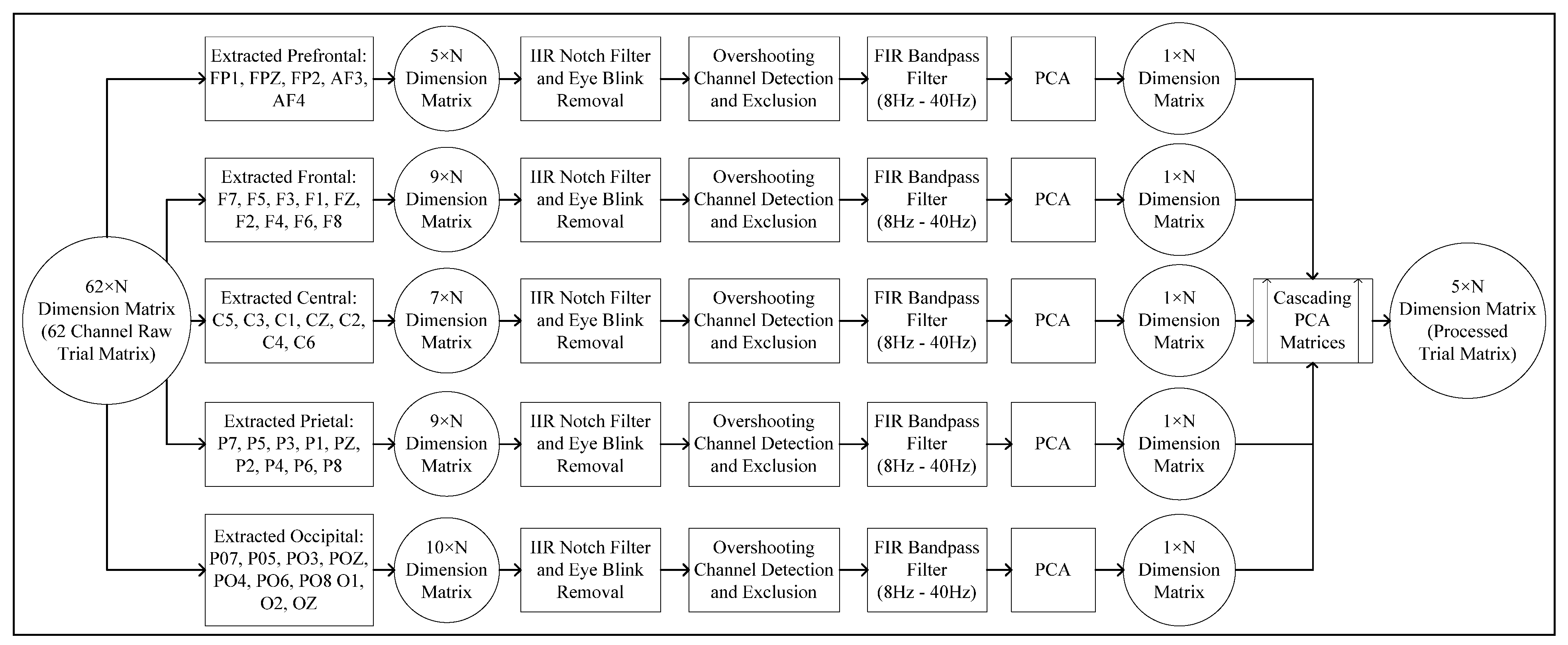 Bioengineering 10 00099 g005
